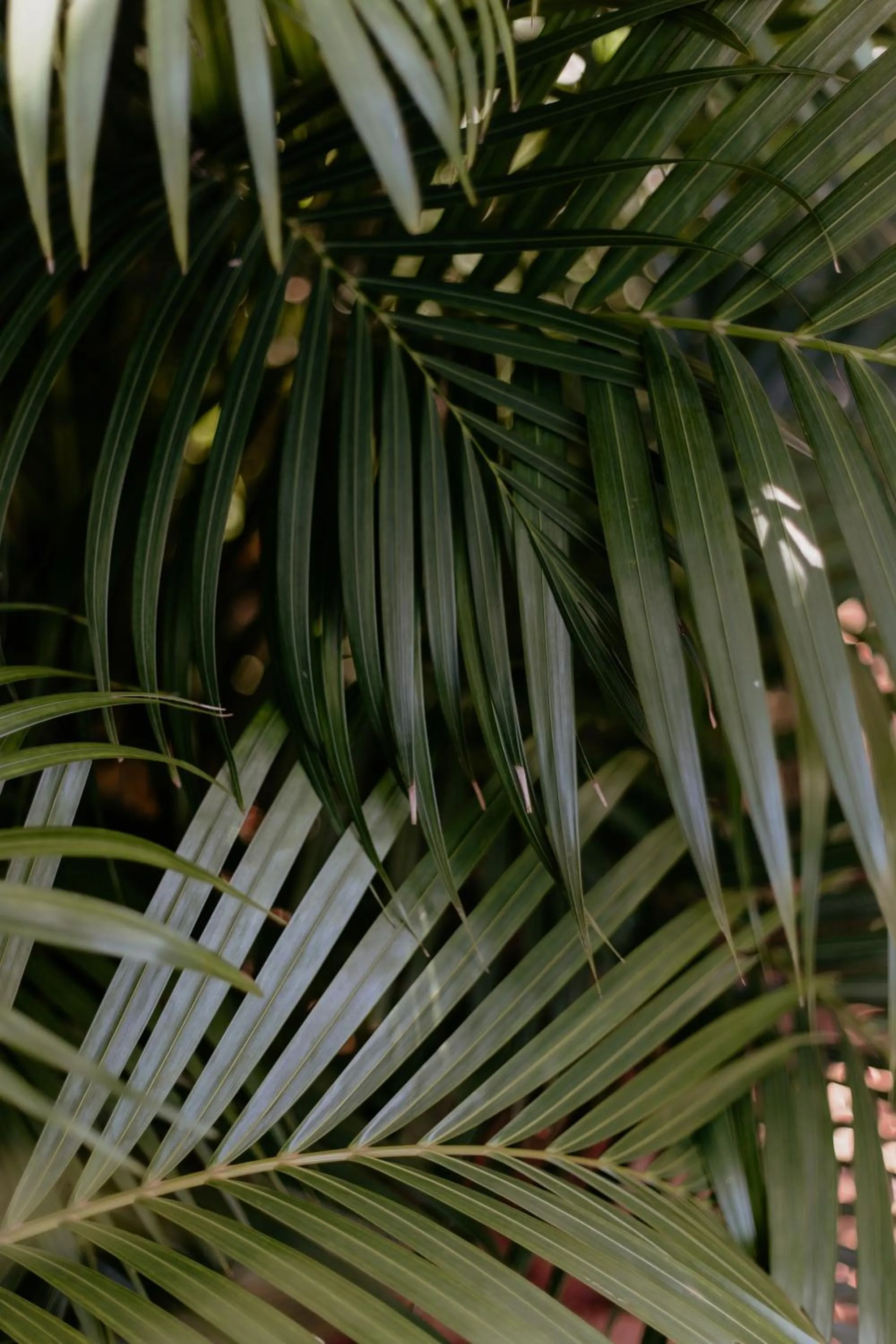 Day in Paua Hotel Boutique