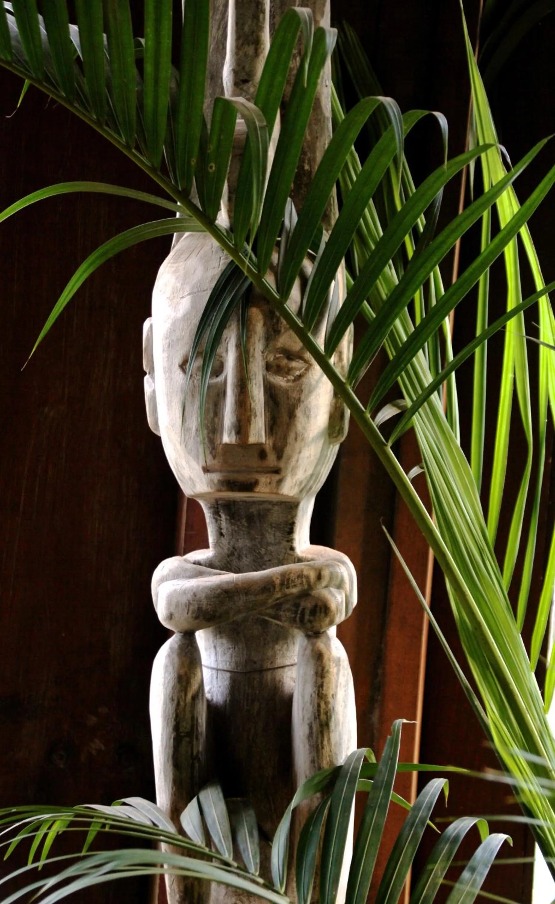 Restaurant/places to eat in Paua Hotel Boutique