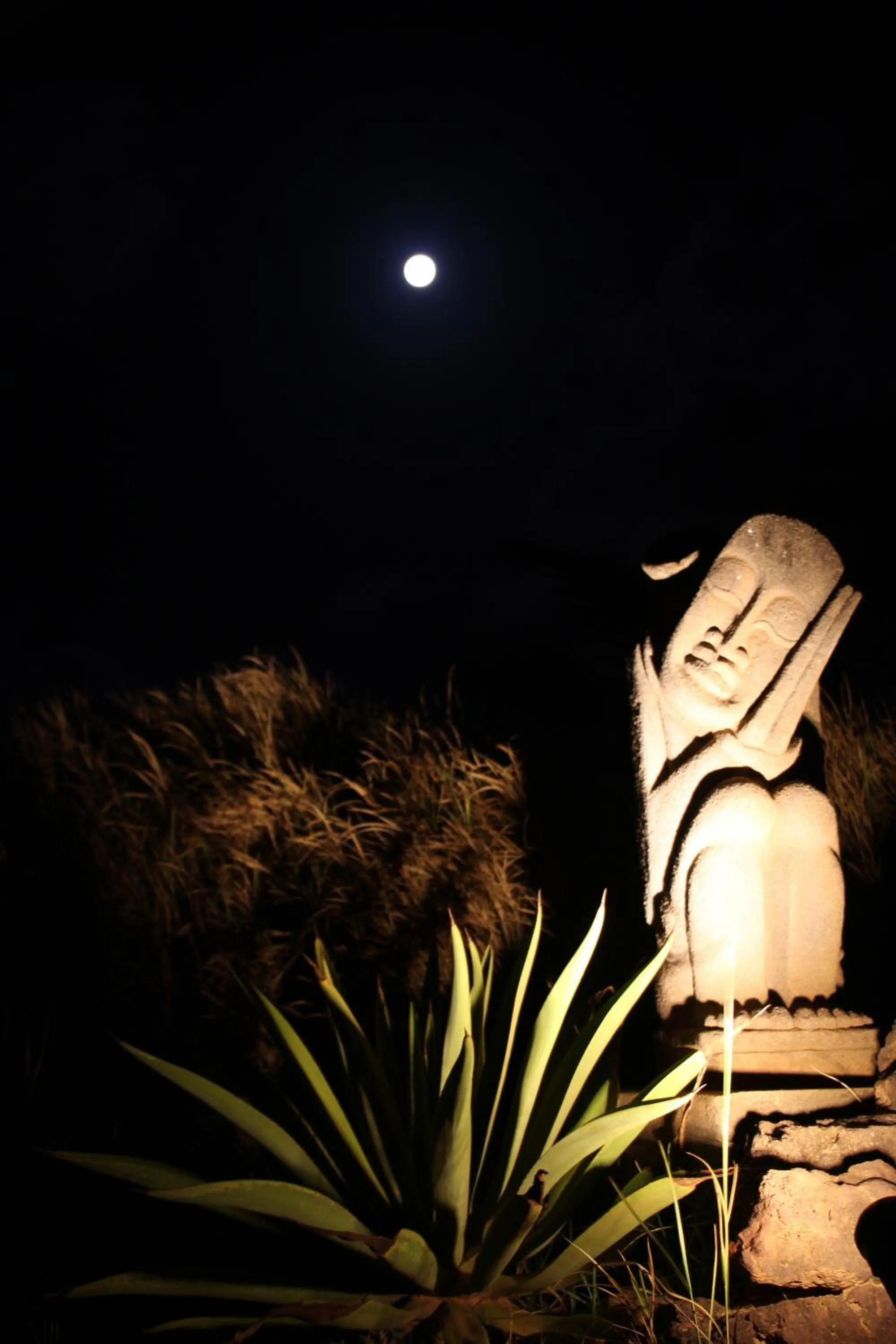 Night in Paua Hotel Boutique