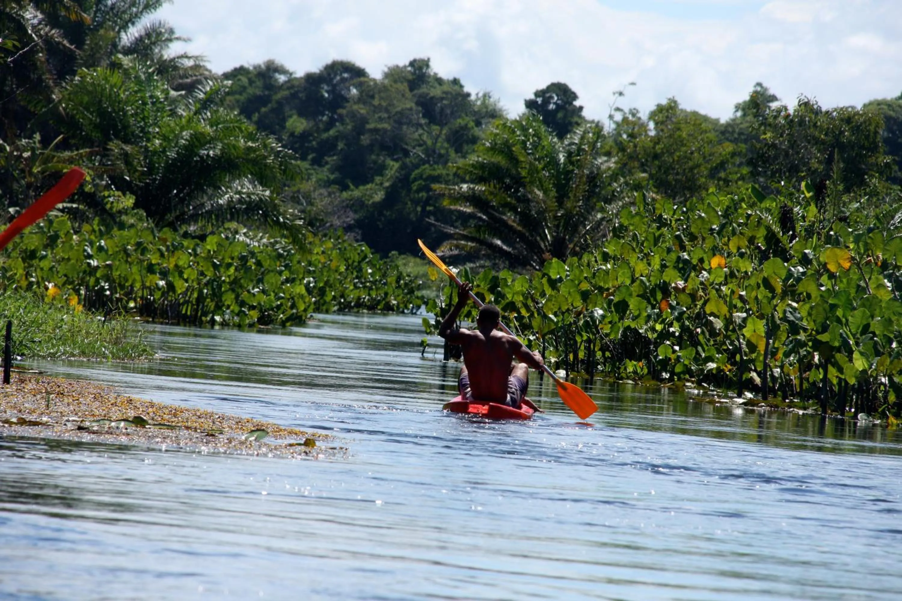 Nearby landmark in Paua Hotel Boutique