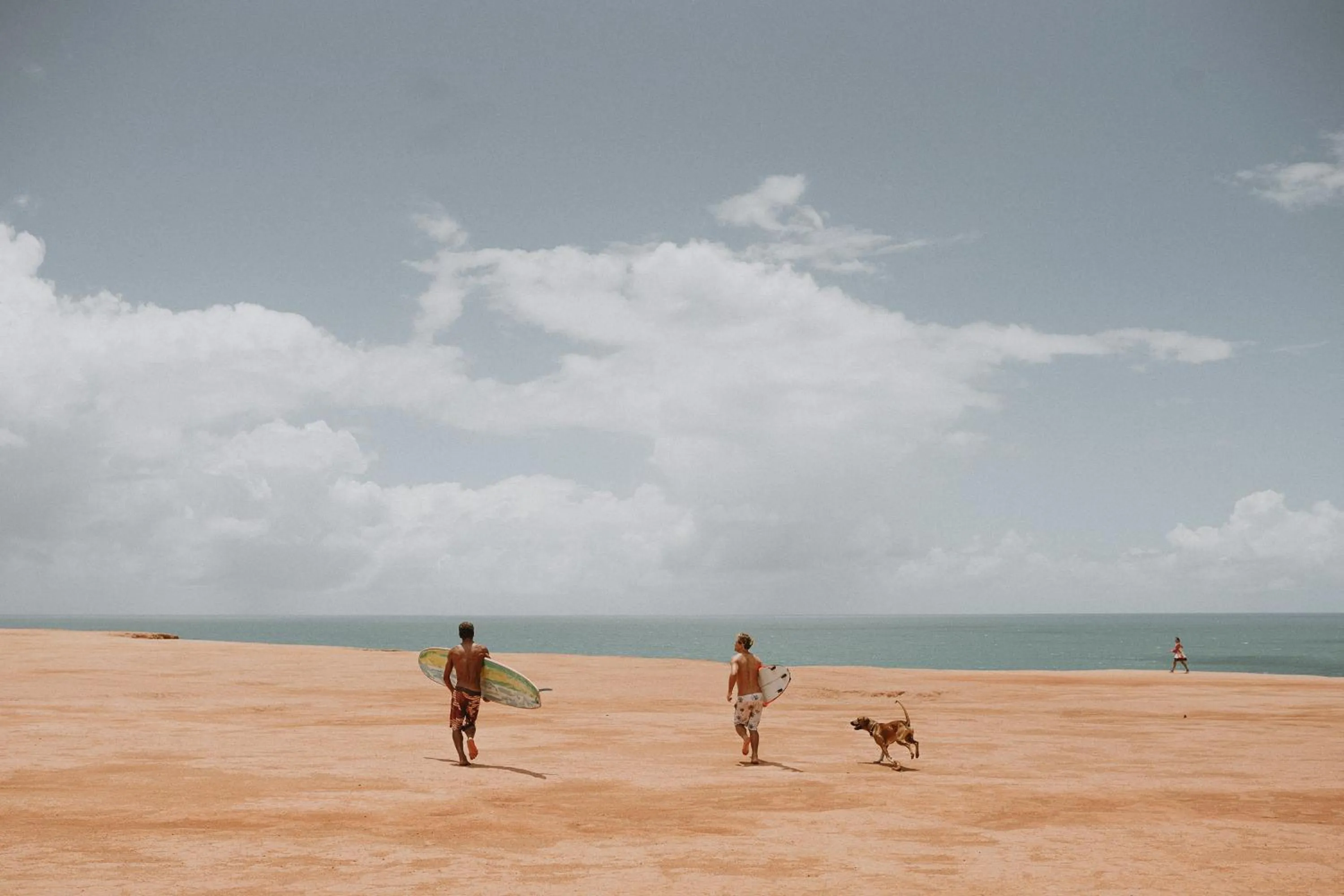 Garden in Paua Hotel Boutique