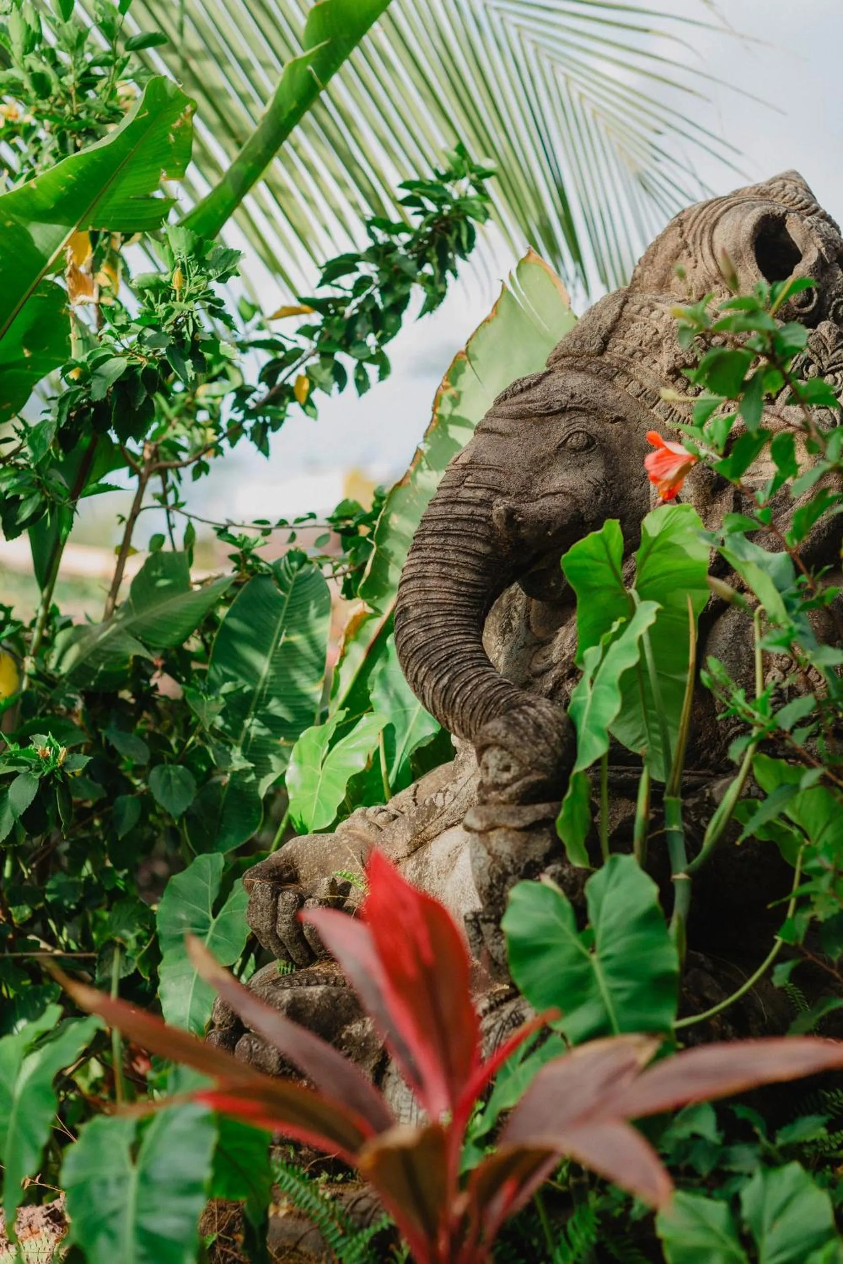 Garden in Paua Hotel Boutique
