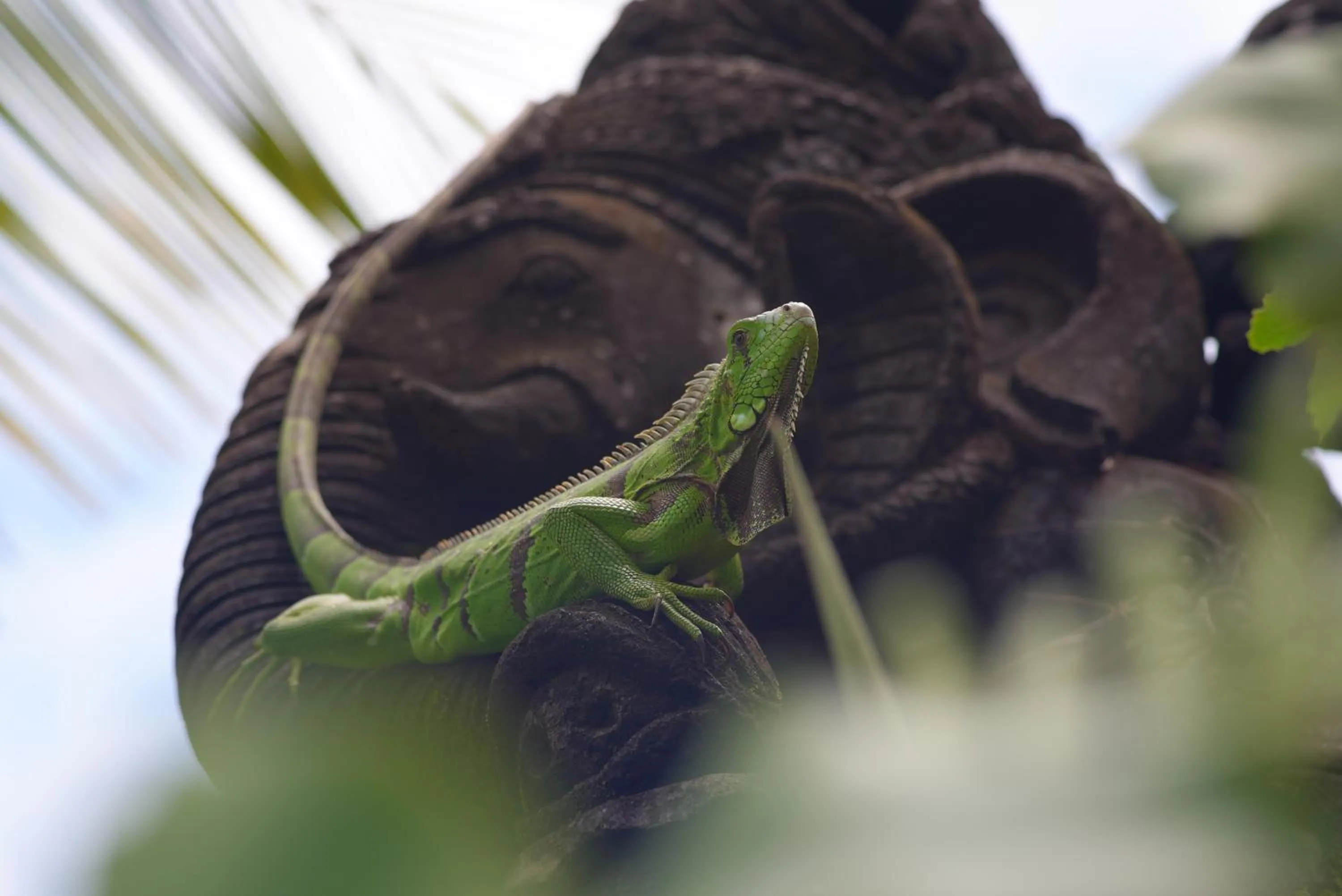 Day in Paua Hotel Boutique