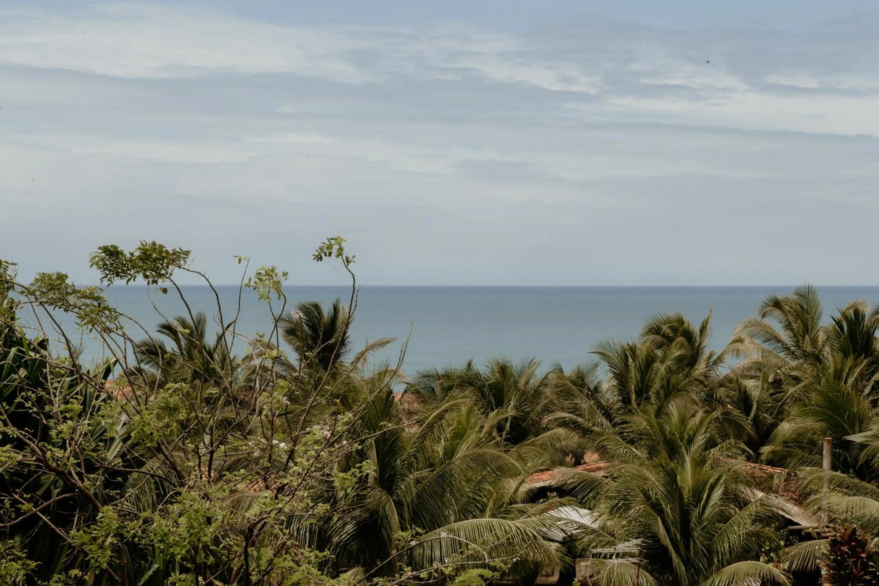 Sea view in Paua Hotel Boutique