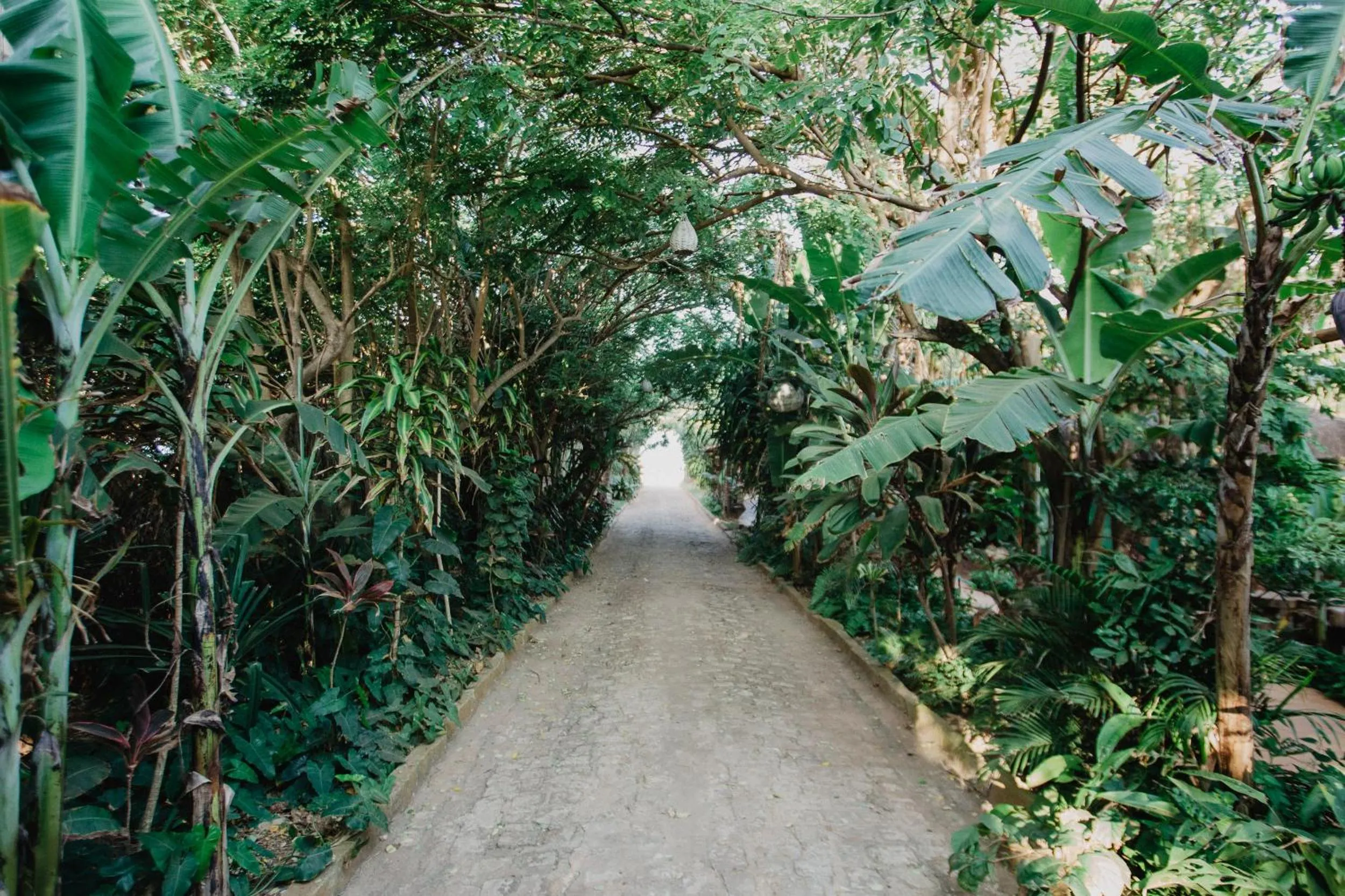 Facade/entrance in Paua Hotel Boutique