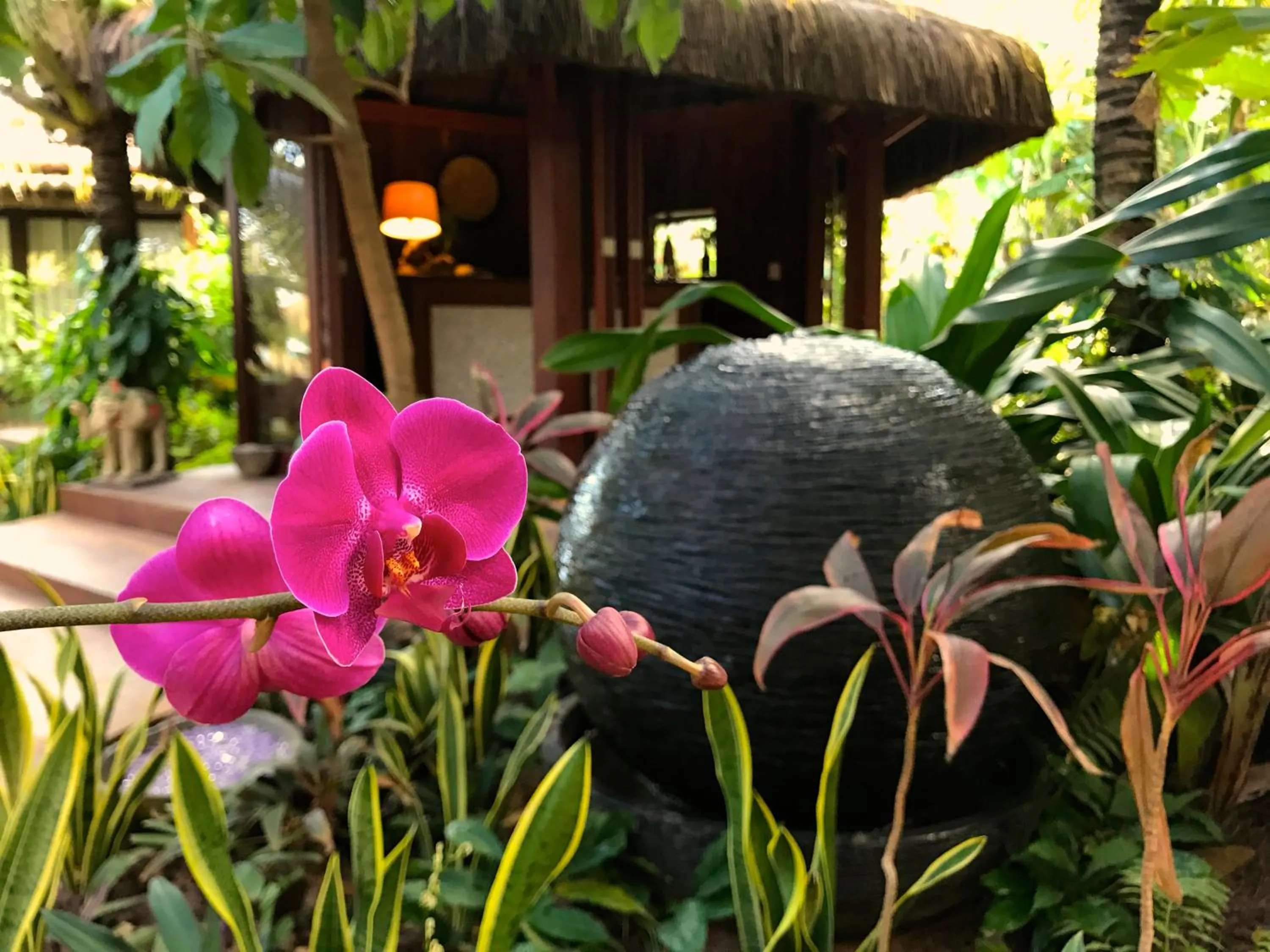 Garden in Paua Hotel Boutique