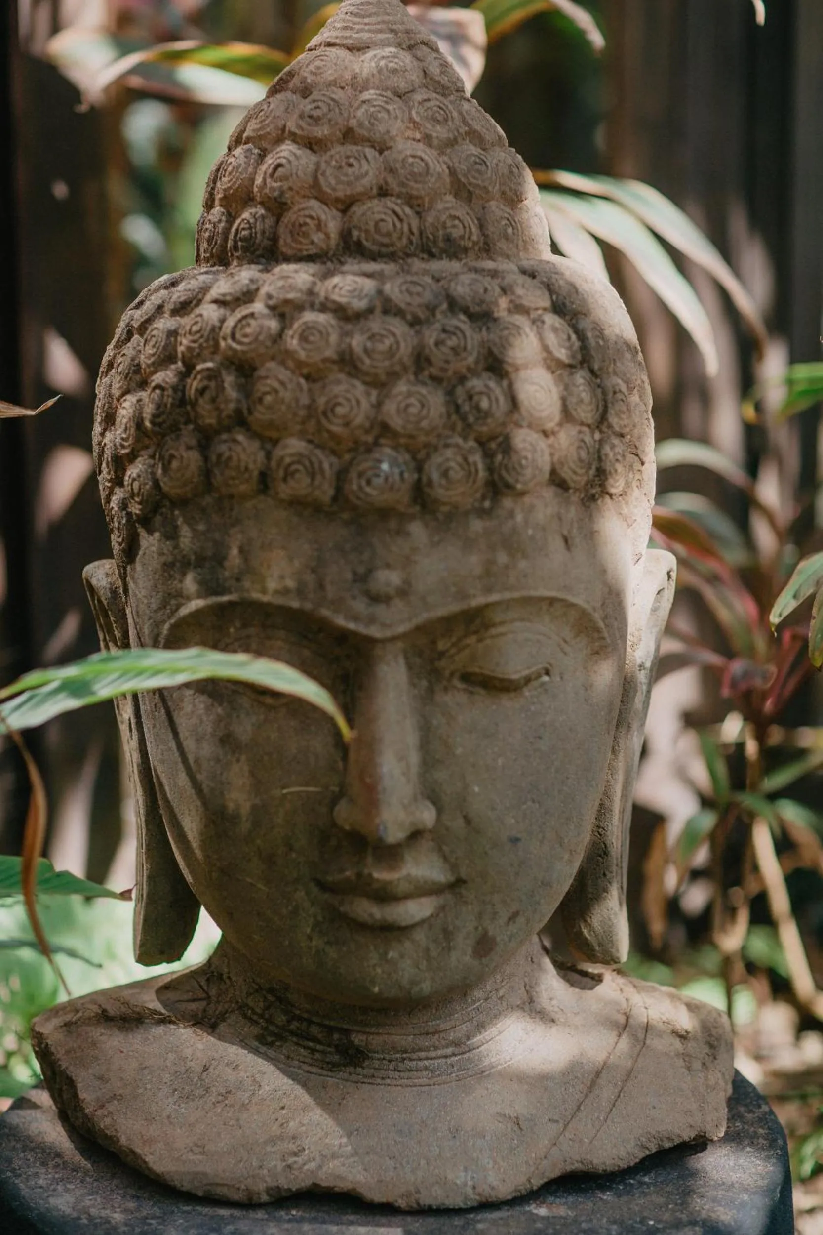 Decorative detail in Paua Hotel Boutique