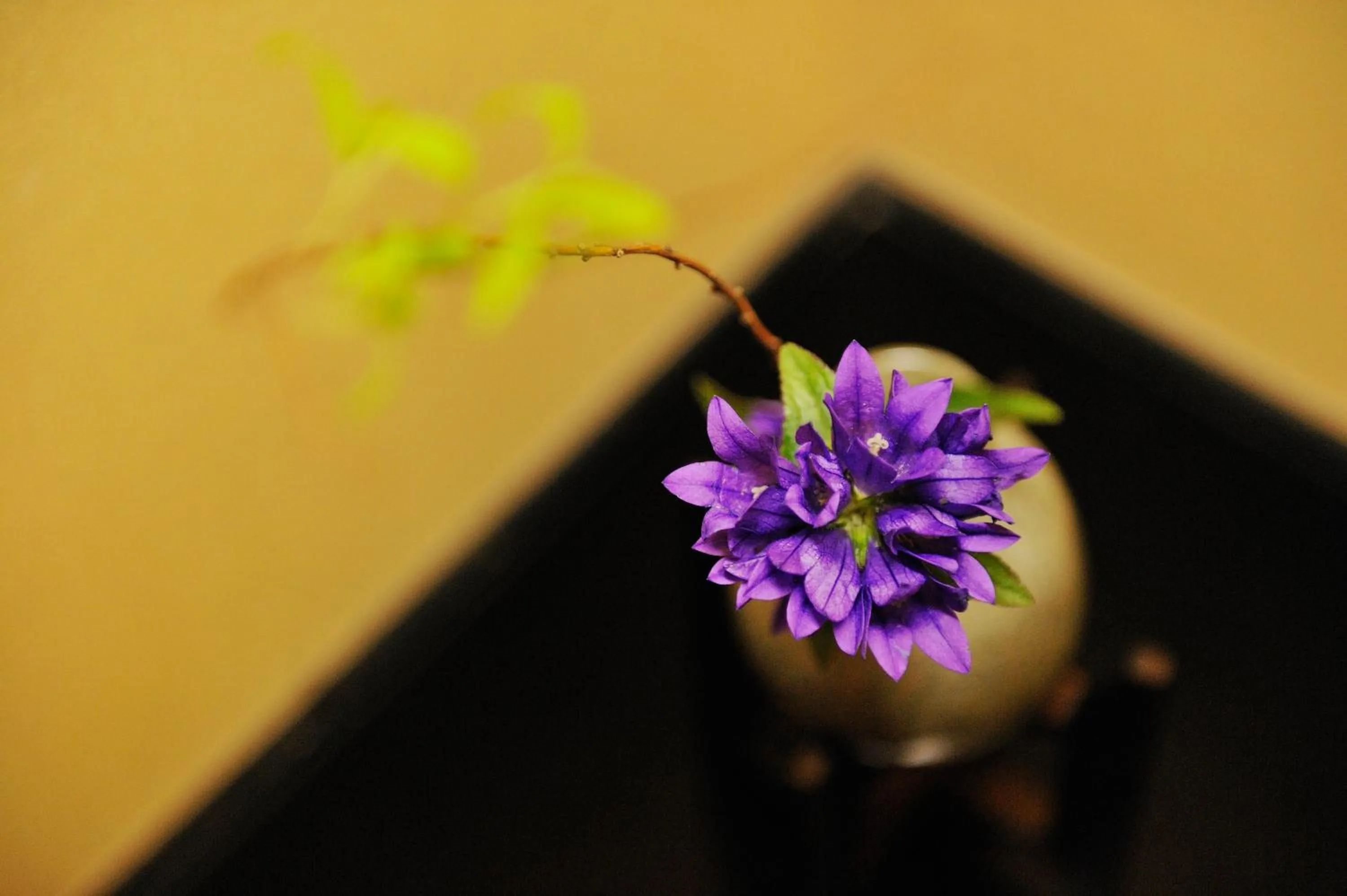 Shirafune Grand Hotel