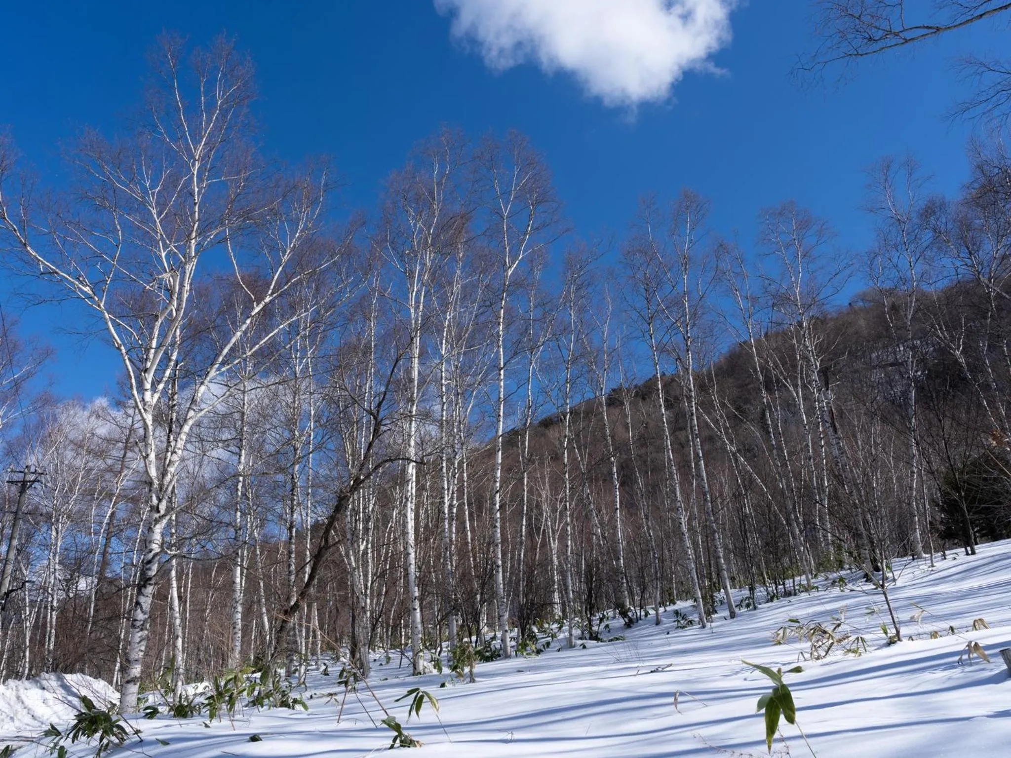 Natural landscape in Konashi No Yu Sasaya