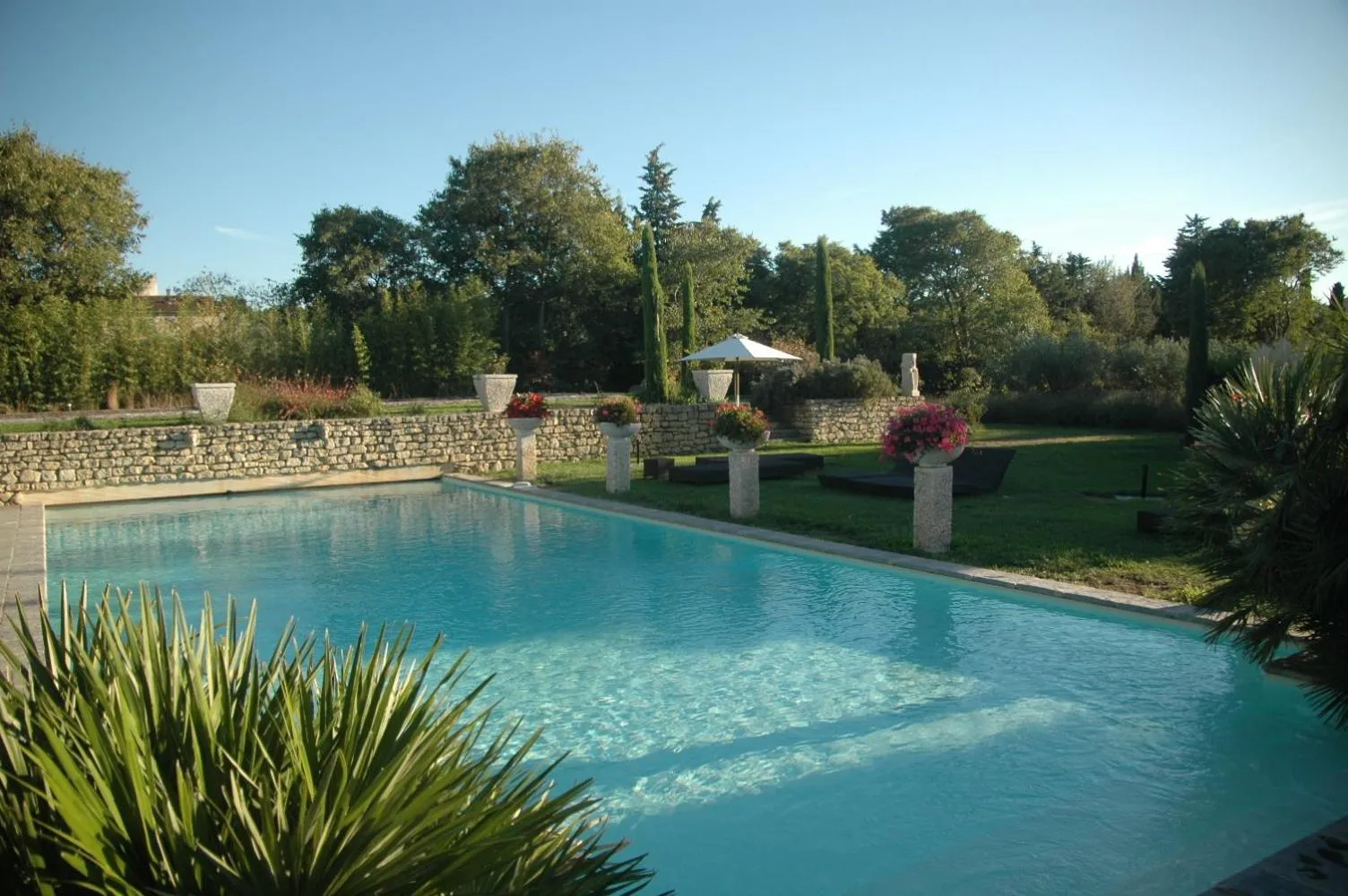 Swimming pool in Mas des Carassins