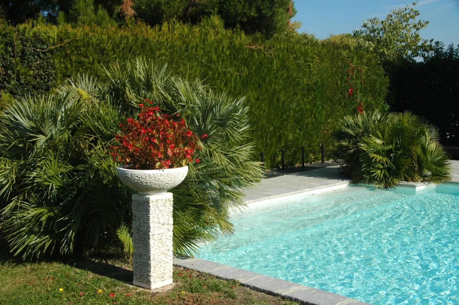 Swimming pool in Mas des Carassins