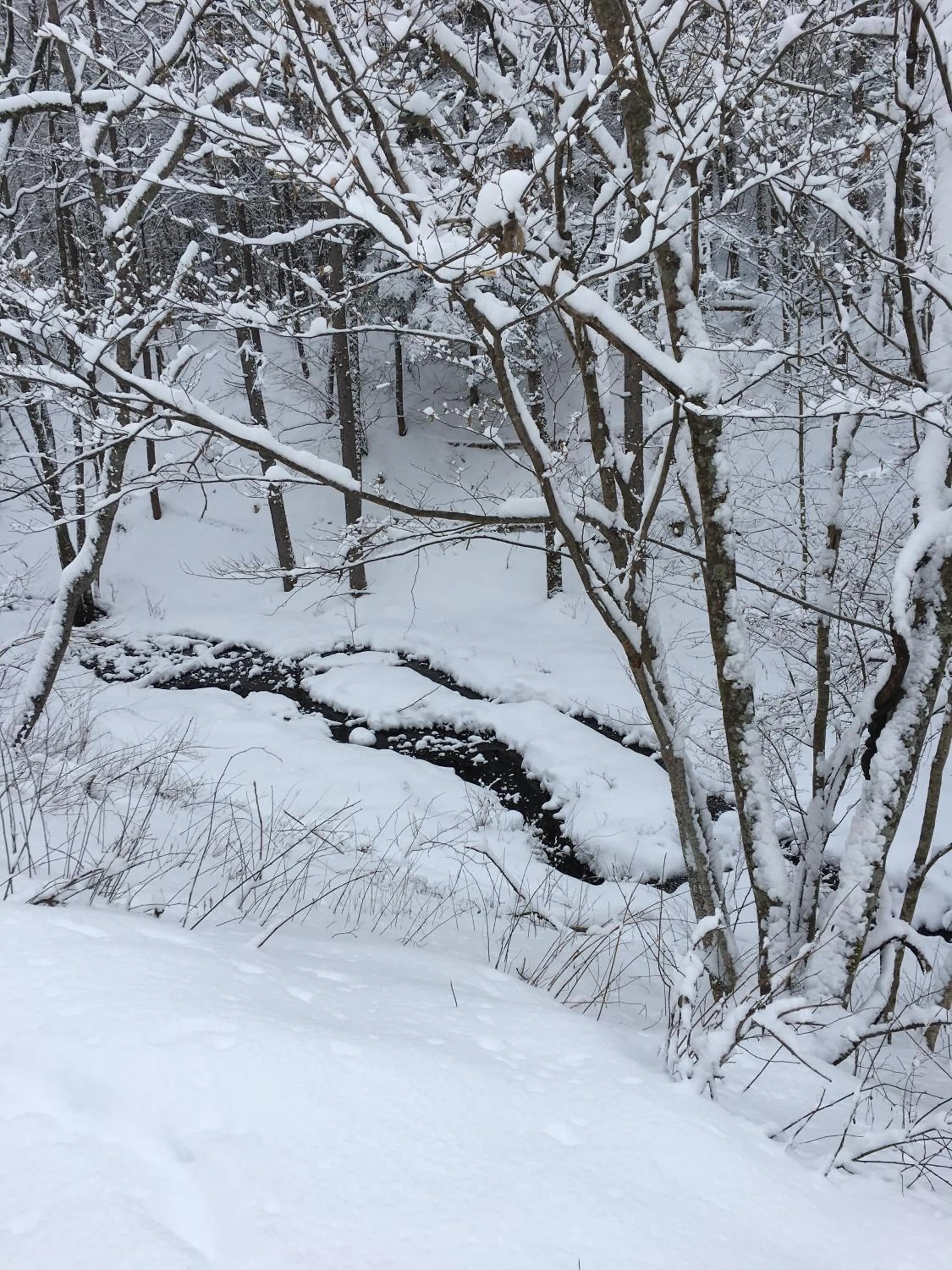 Activities in Keiryuso Siorie