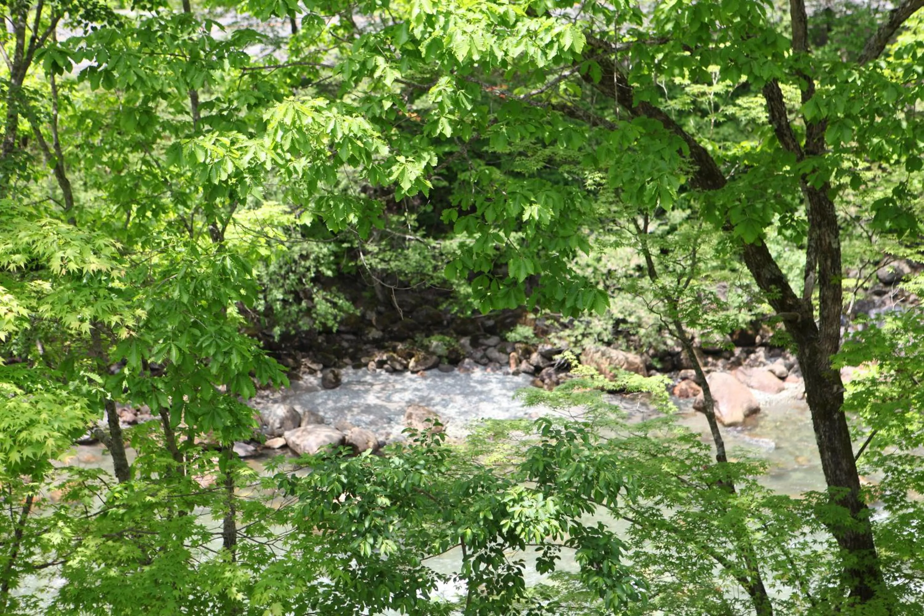 Area and facilities in Keiryuso Siorie