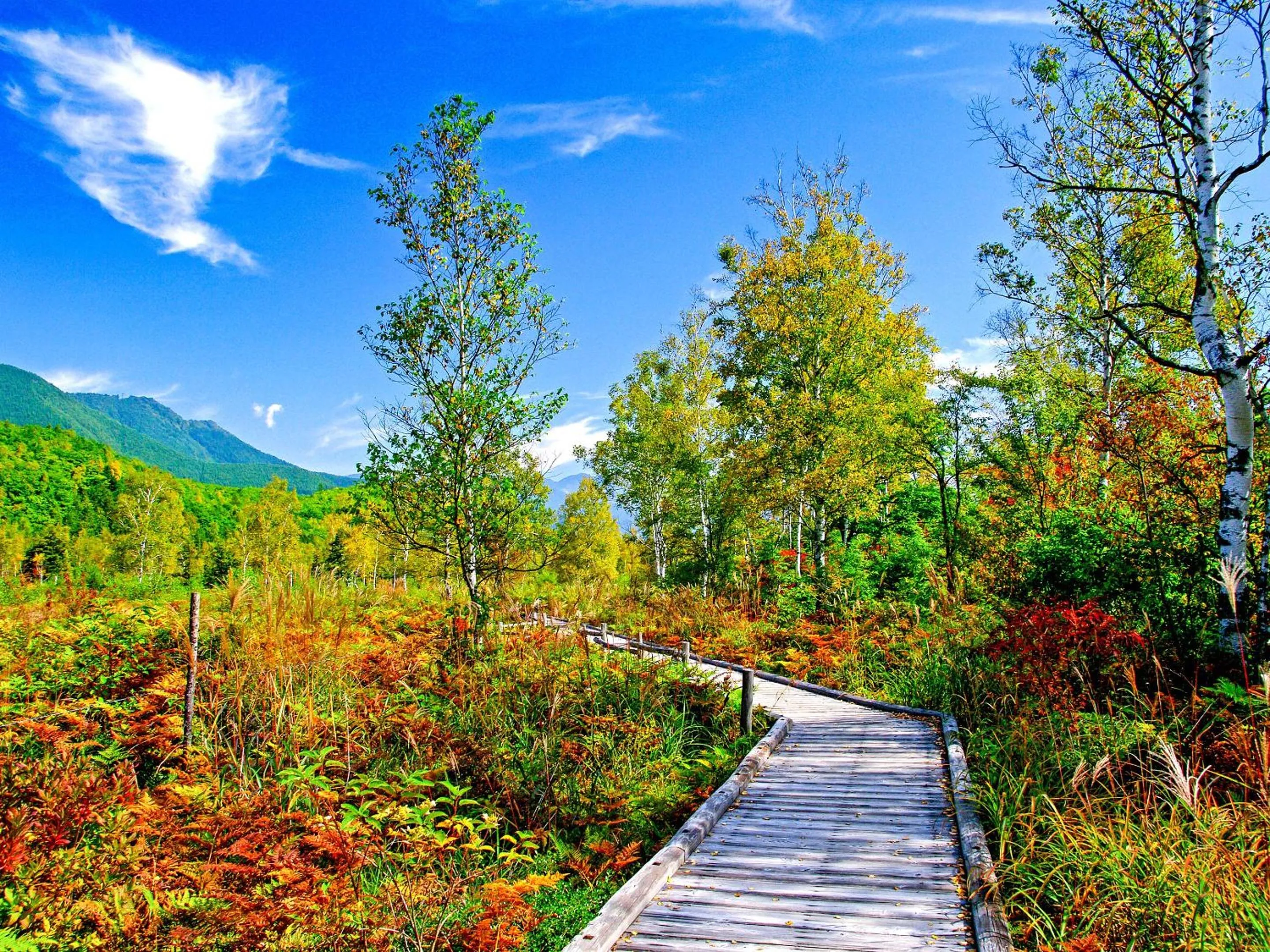 Nearby landmark in Keiryuso Siorie
