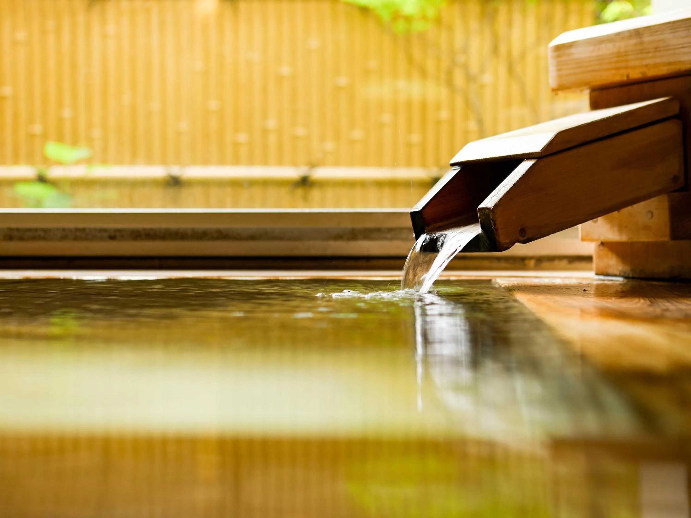 Hot Spring Bath in Keiryuso Siorie
