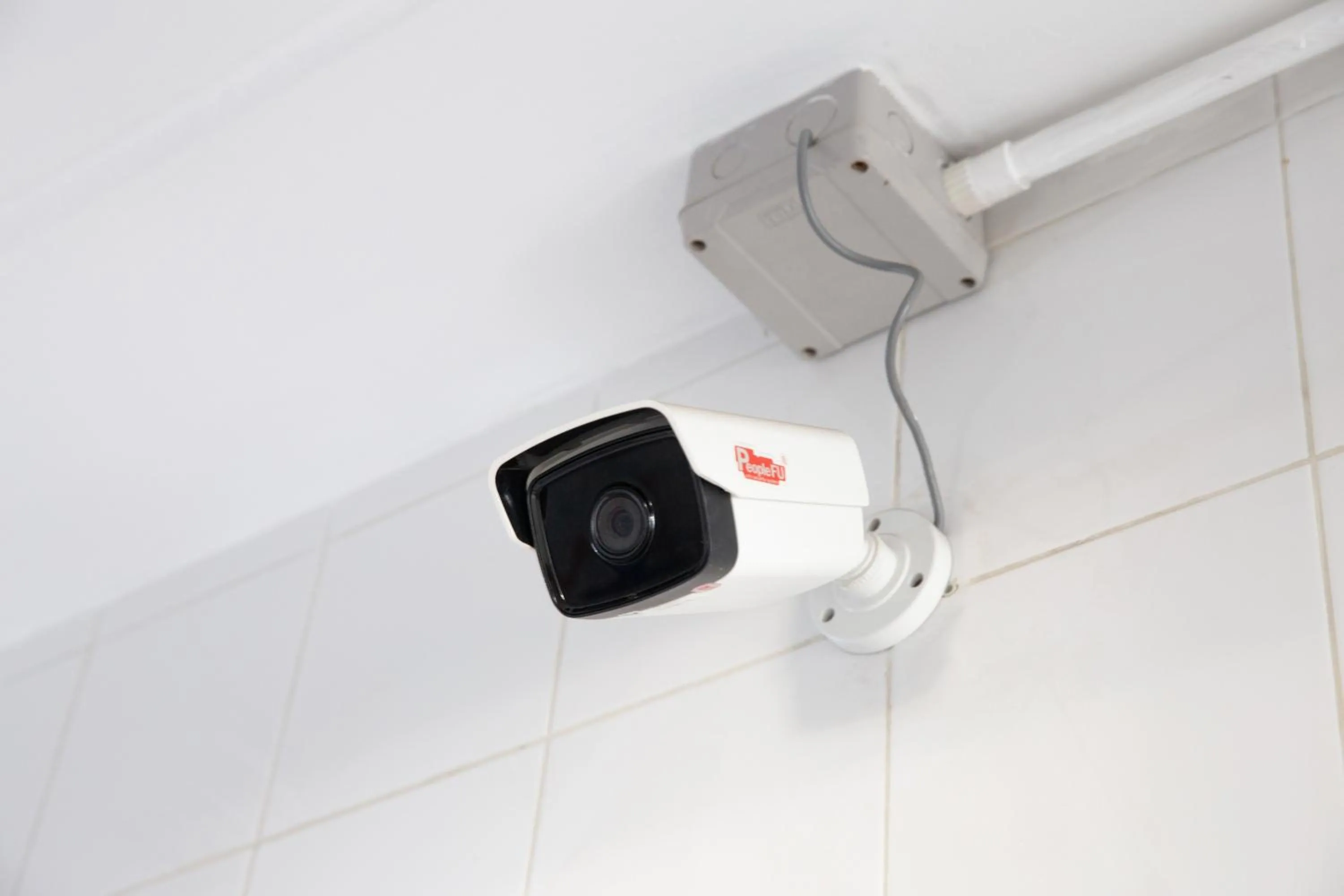 Area and facilities in D haus Ngamwongwan Residence