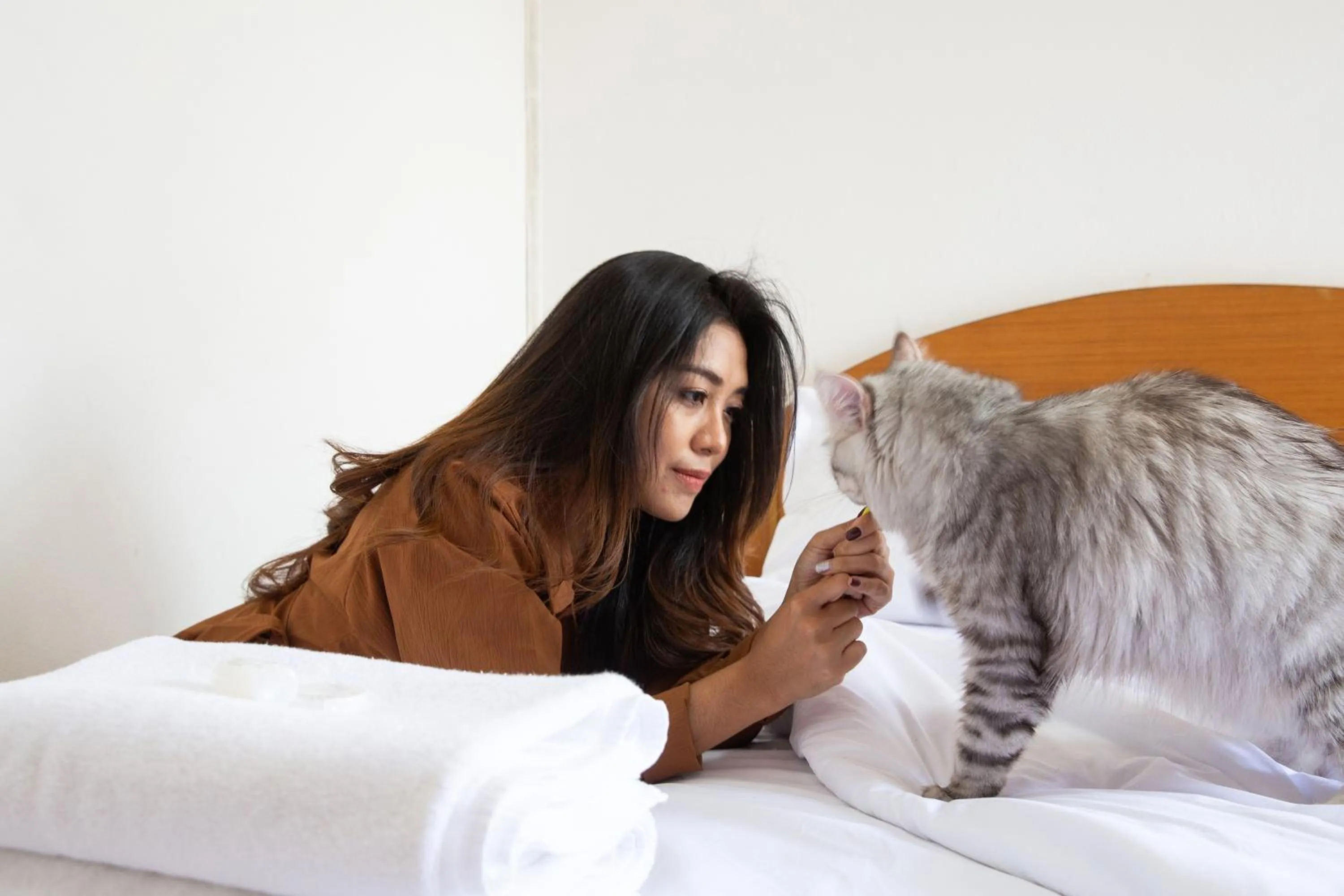 Photo of the whole room in D haus Ngamwongwan Residence