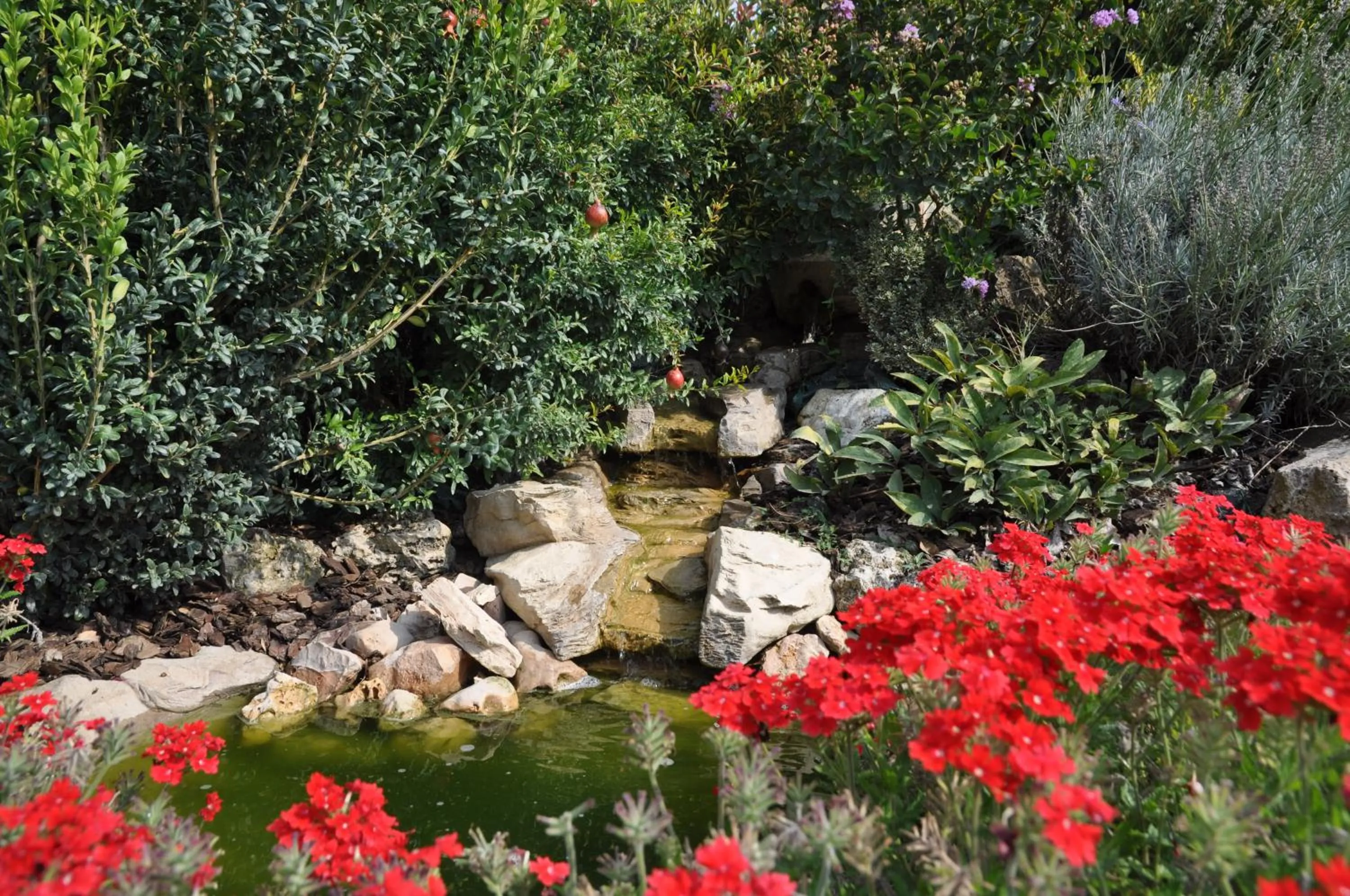 Garden in La Sorgente Del Subasio ASSISI