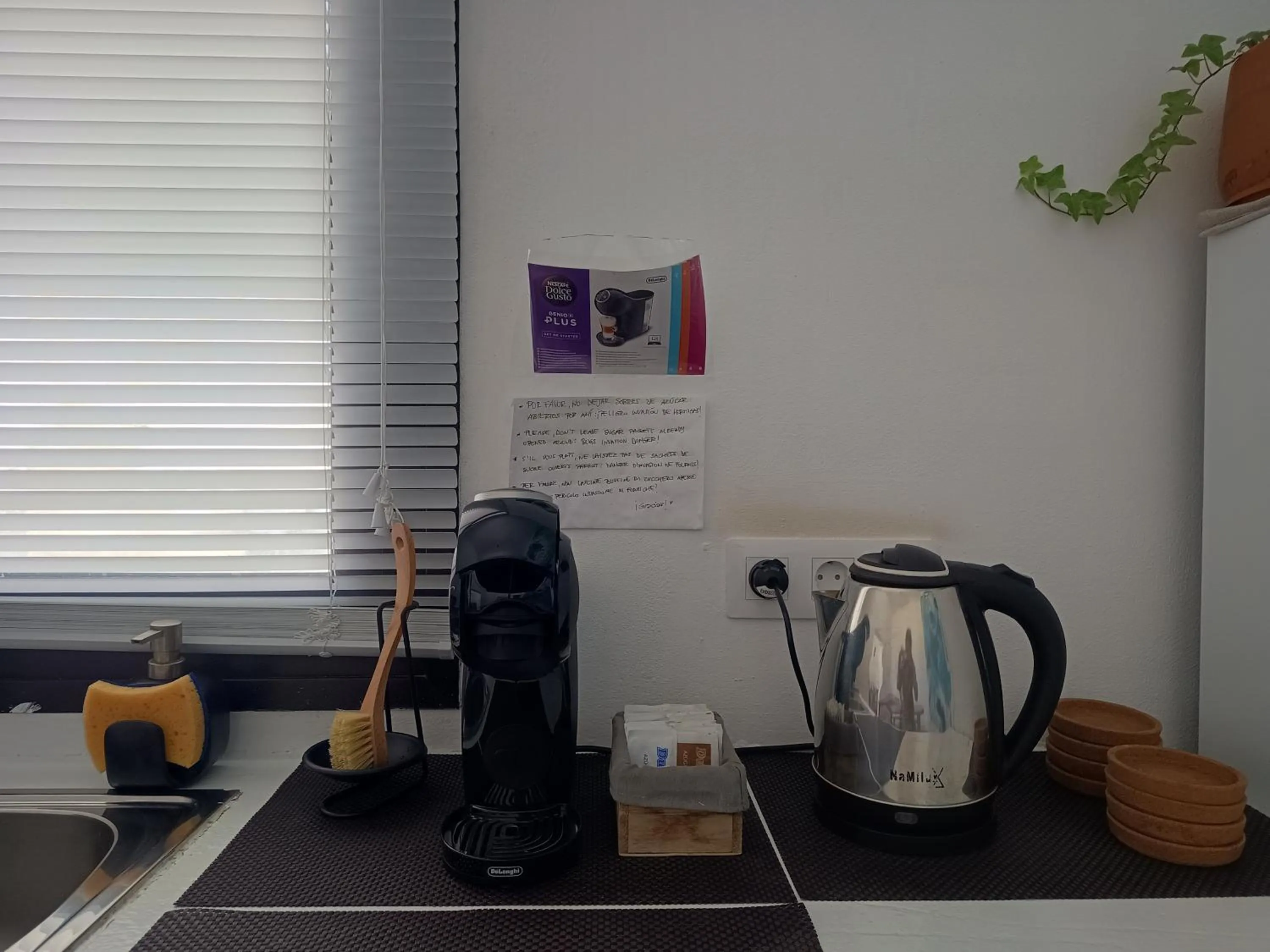 Communal kitchen in Casa Mocan