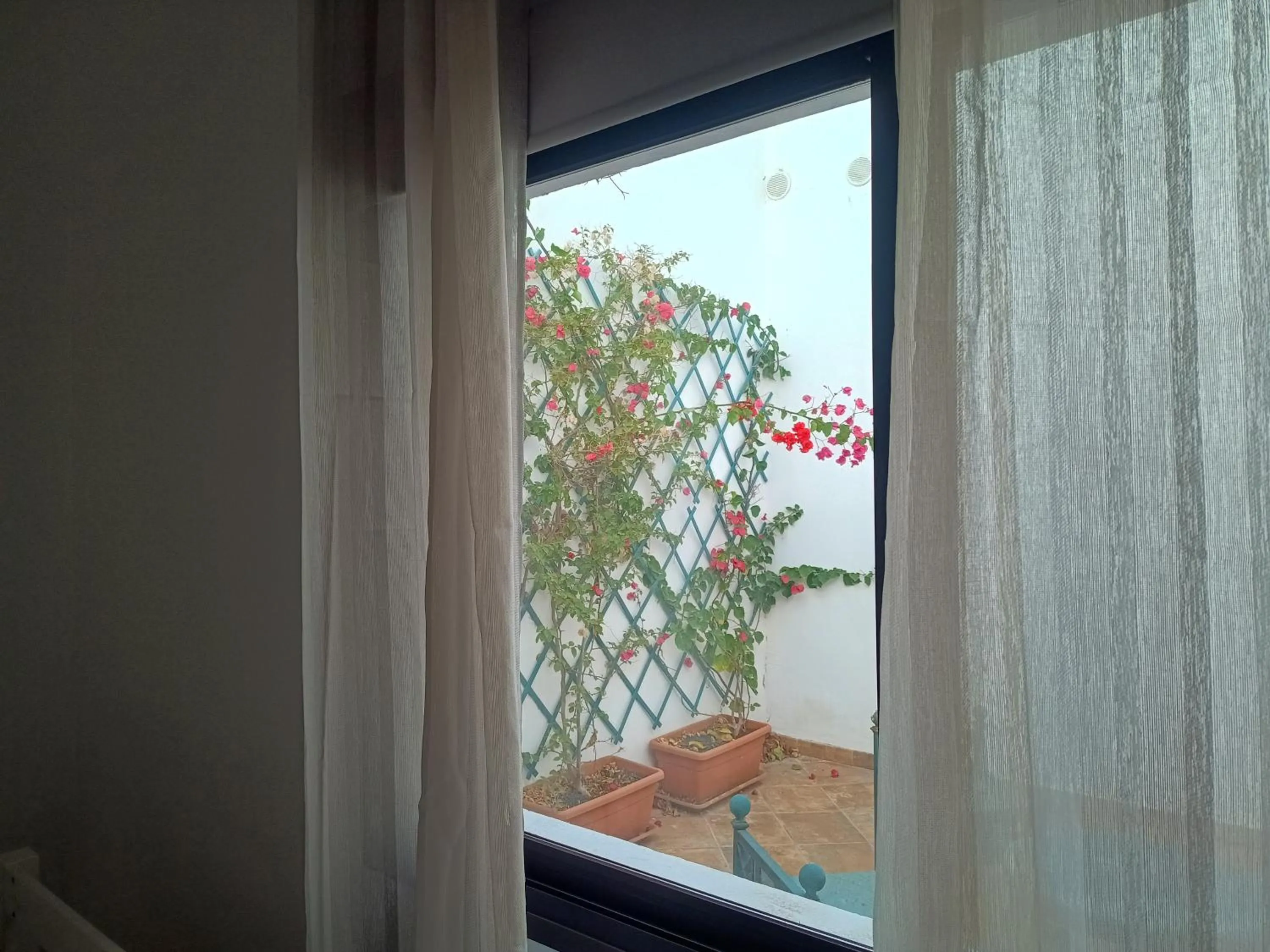 Inner courtyard view in Casa Mocan