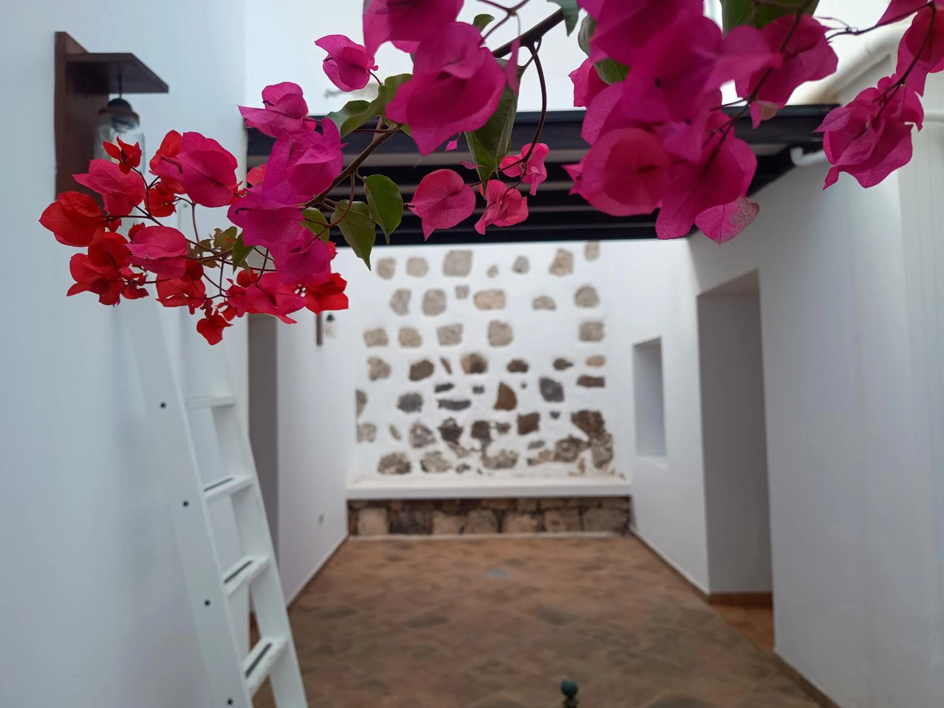 Inner courtyard view in Casa Mocan