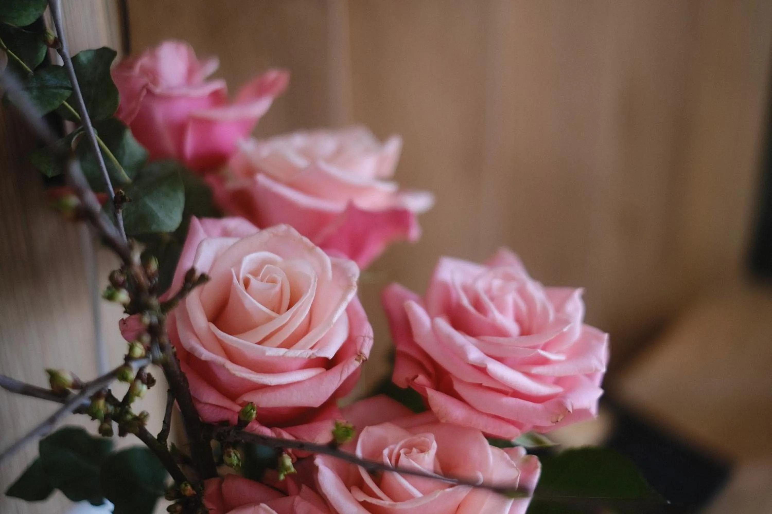 Decorative detail in PARKHOTEL - Rosarium
