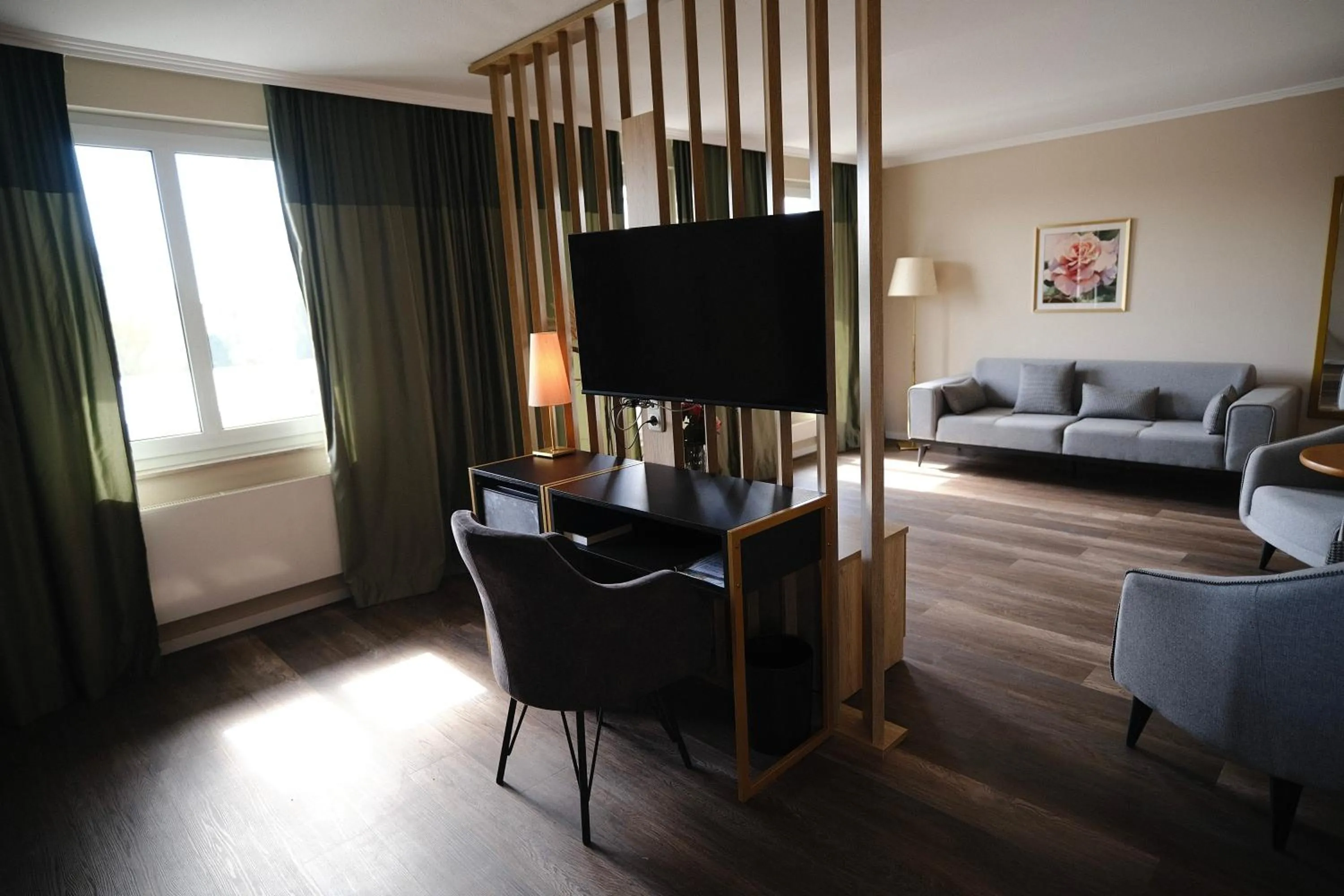 TV and multimedia in PARKHOTEL - Rosarium