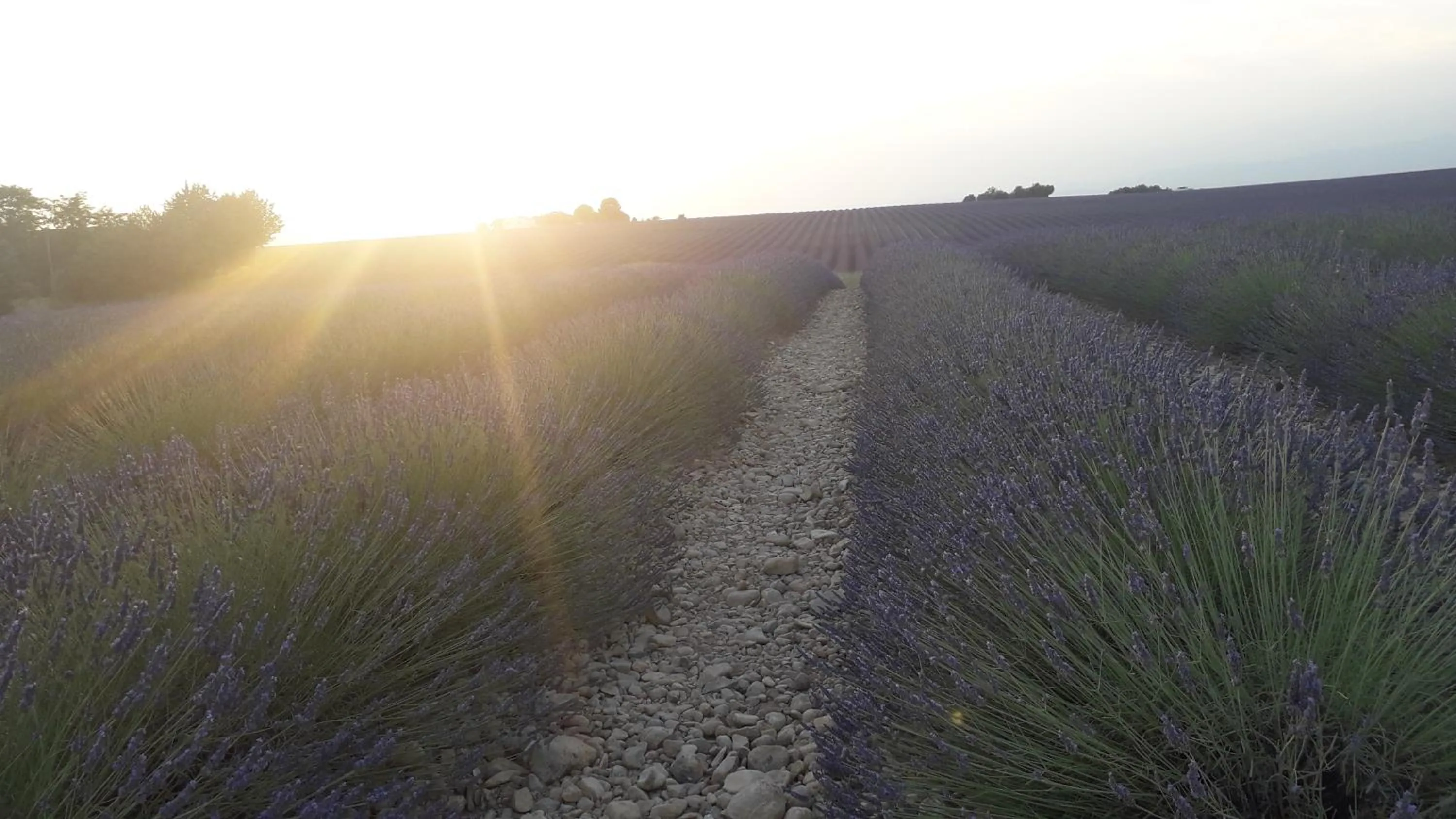 Off site in Le Mas Du Colombier