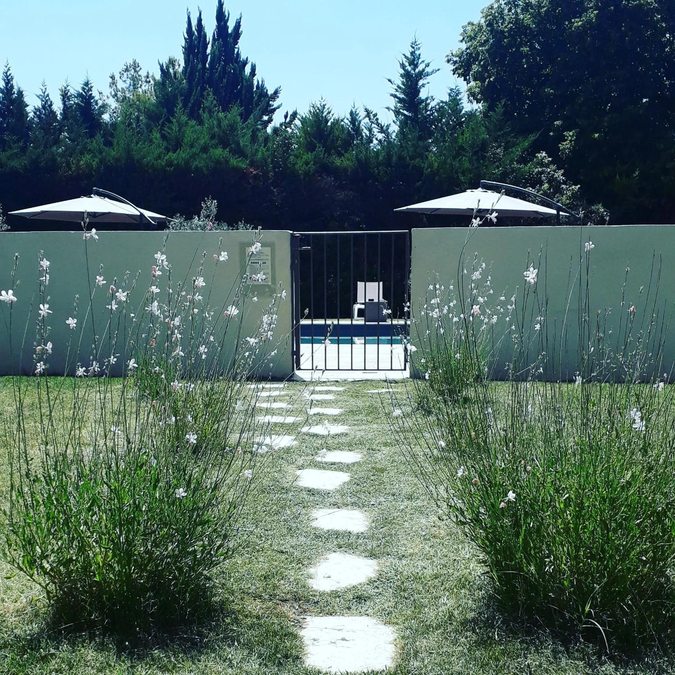 Garden in Le Mas Du Colombier