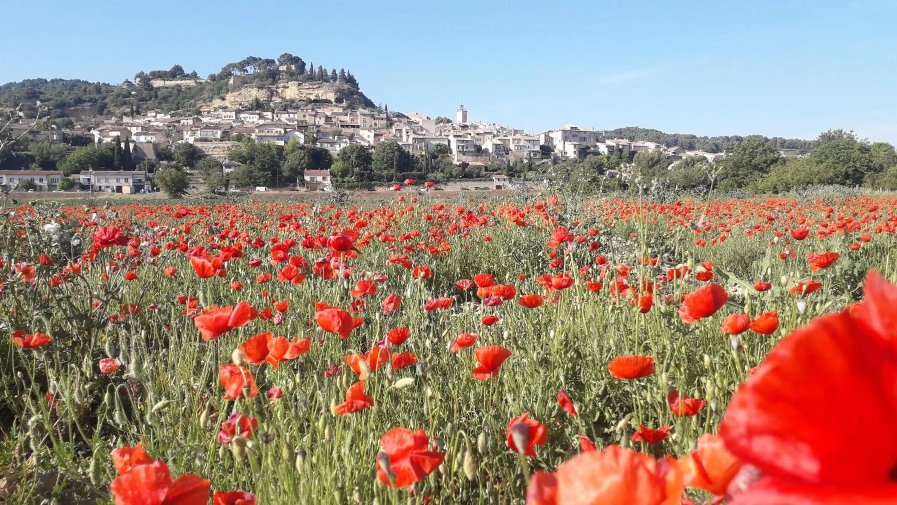 Nearby landmark in Le Mas Du Colombier