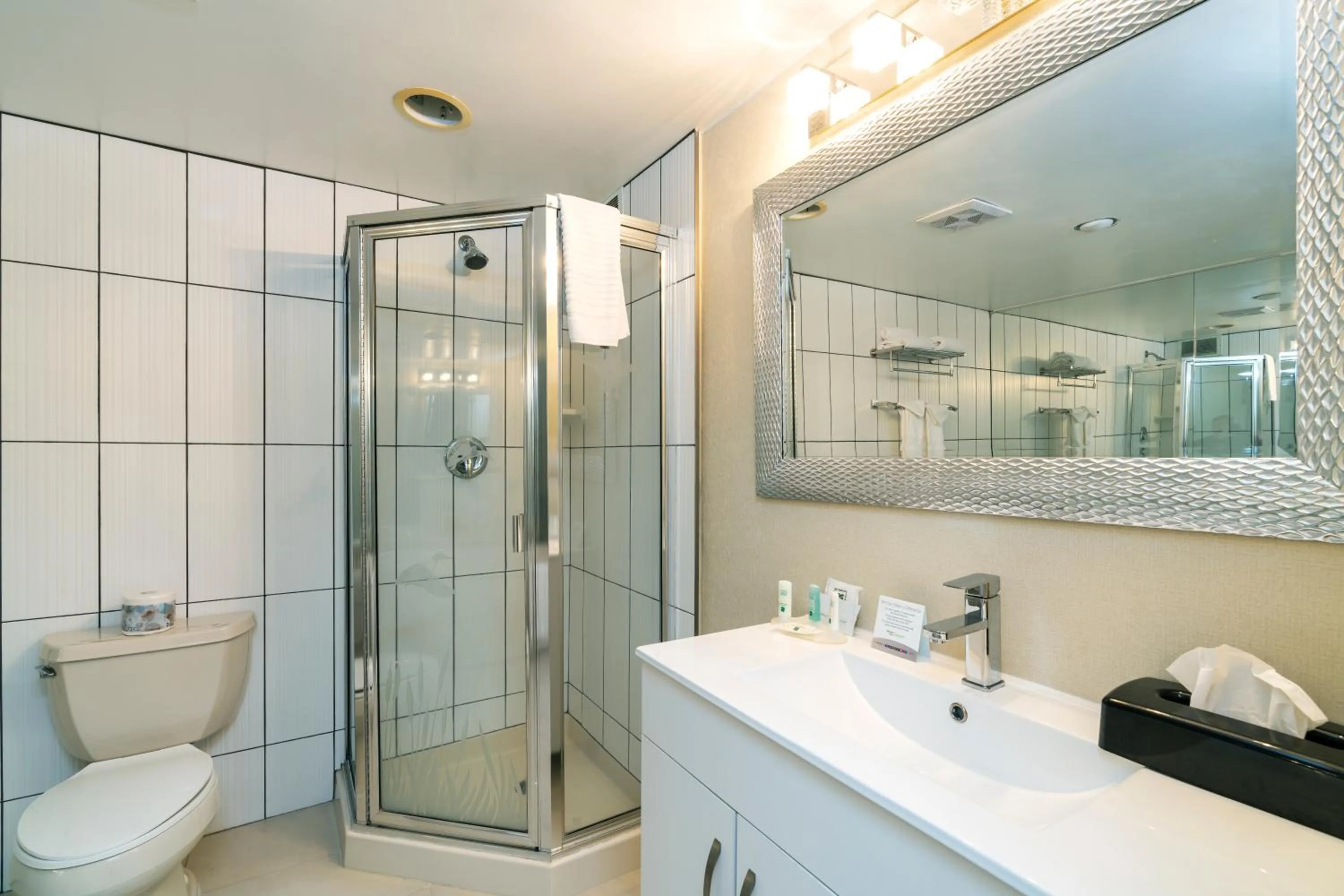 Bathroom in Quality Inn Downtown Inner Harbour