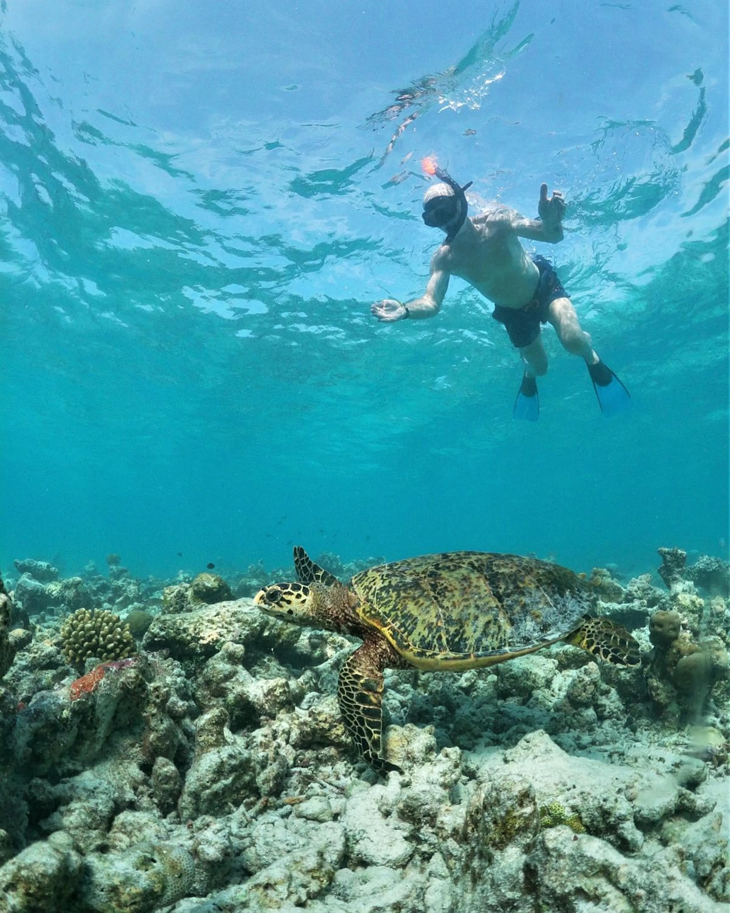 Natural landscape in One The Island