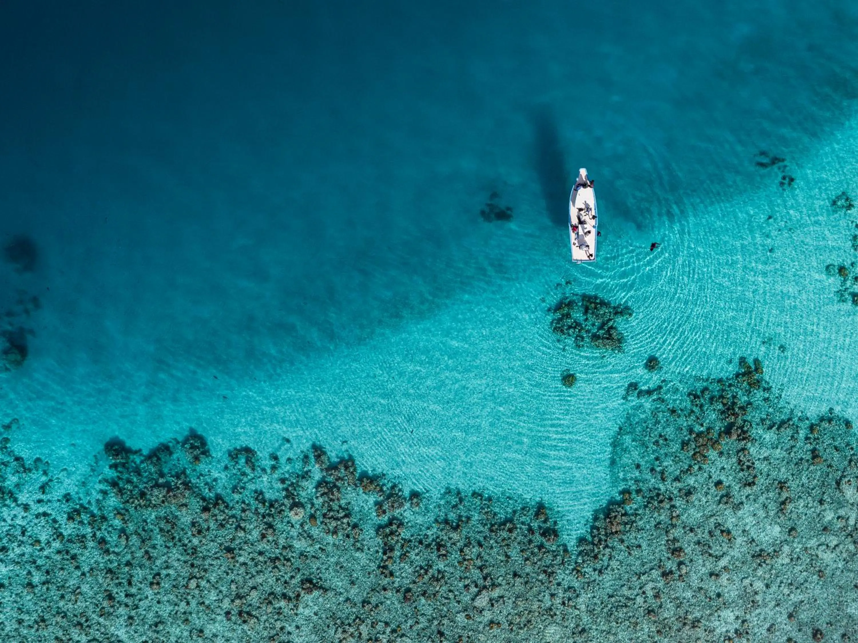 Natural landscape in One The Island