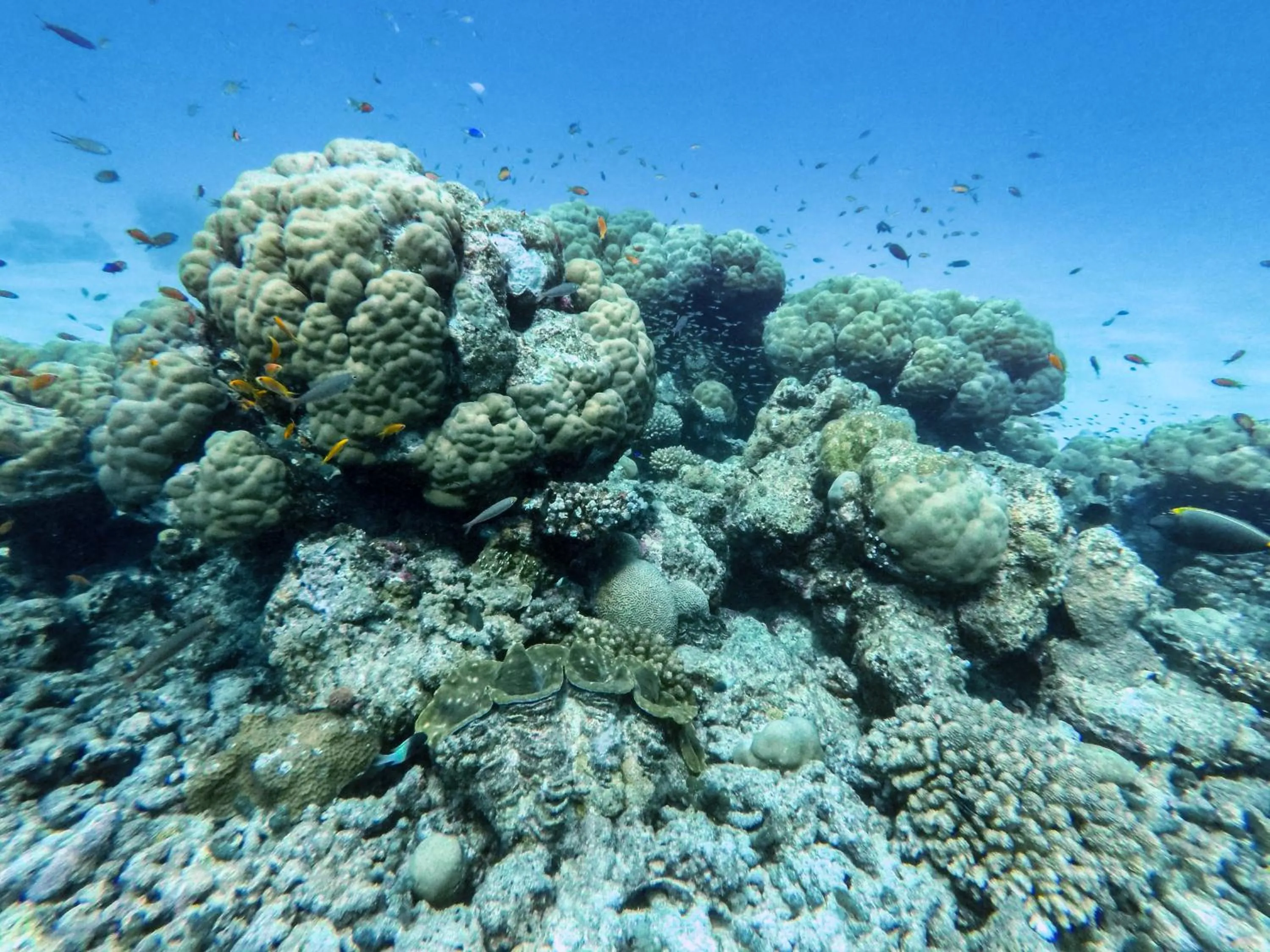 Sea view in One The Island