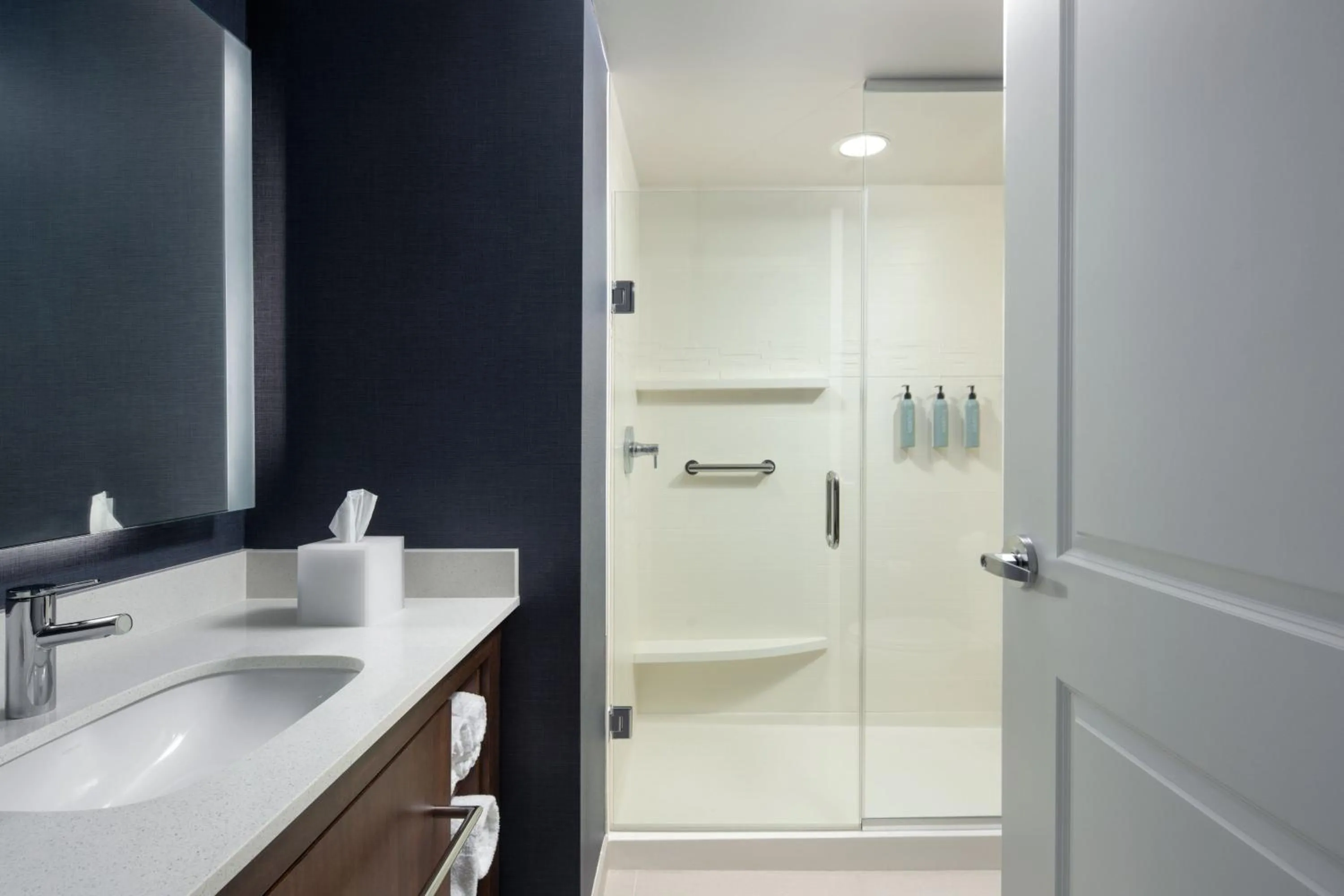 Bathroom in Residence Inn by Marriott Tampa Wesley Chapel