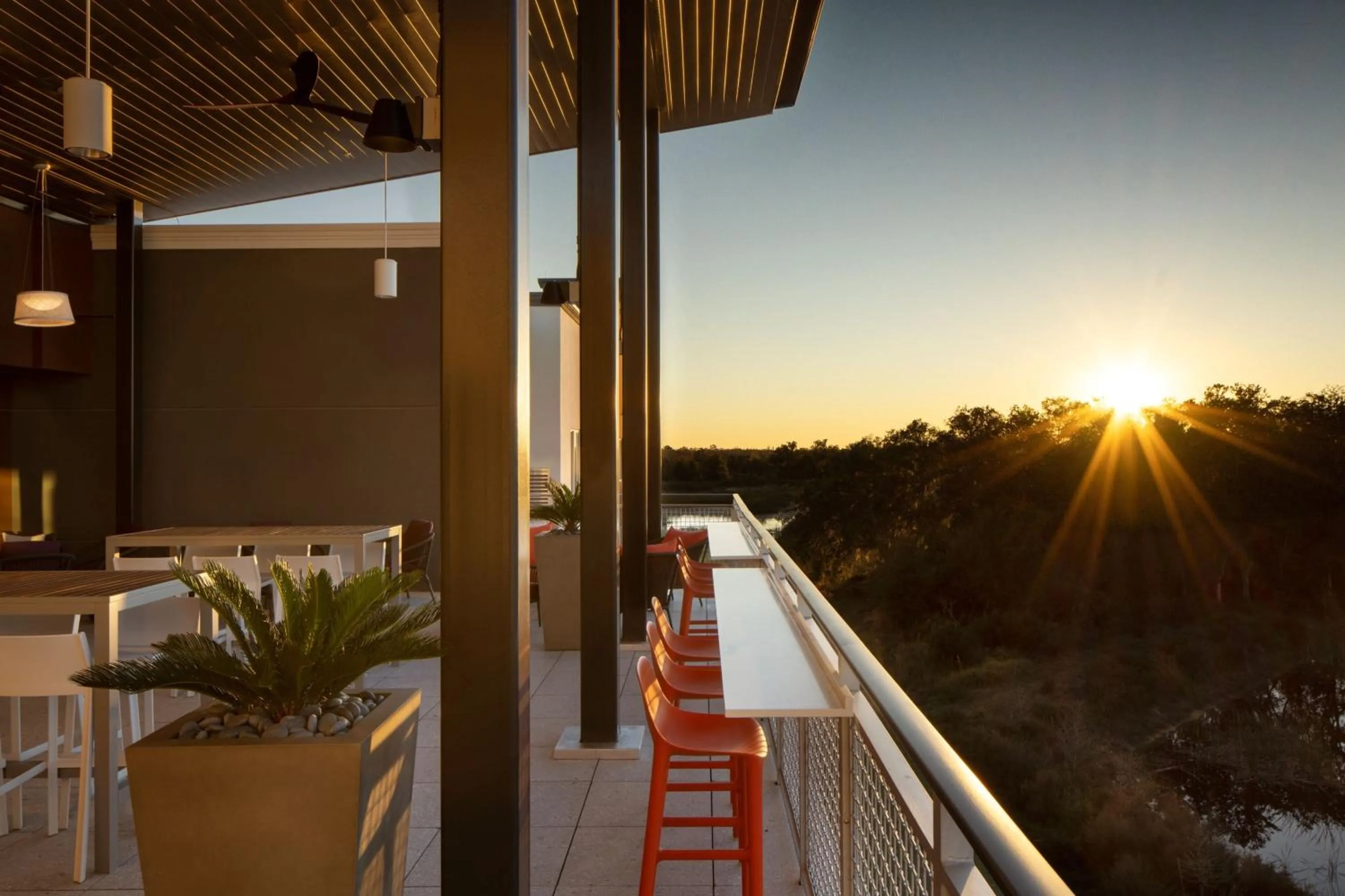 Lounge or bar in Residence Inn by Marriott Tampa Wesley Chapel
