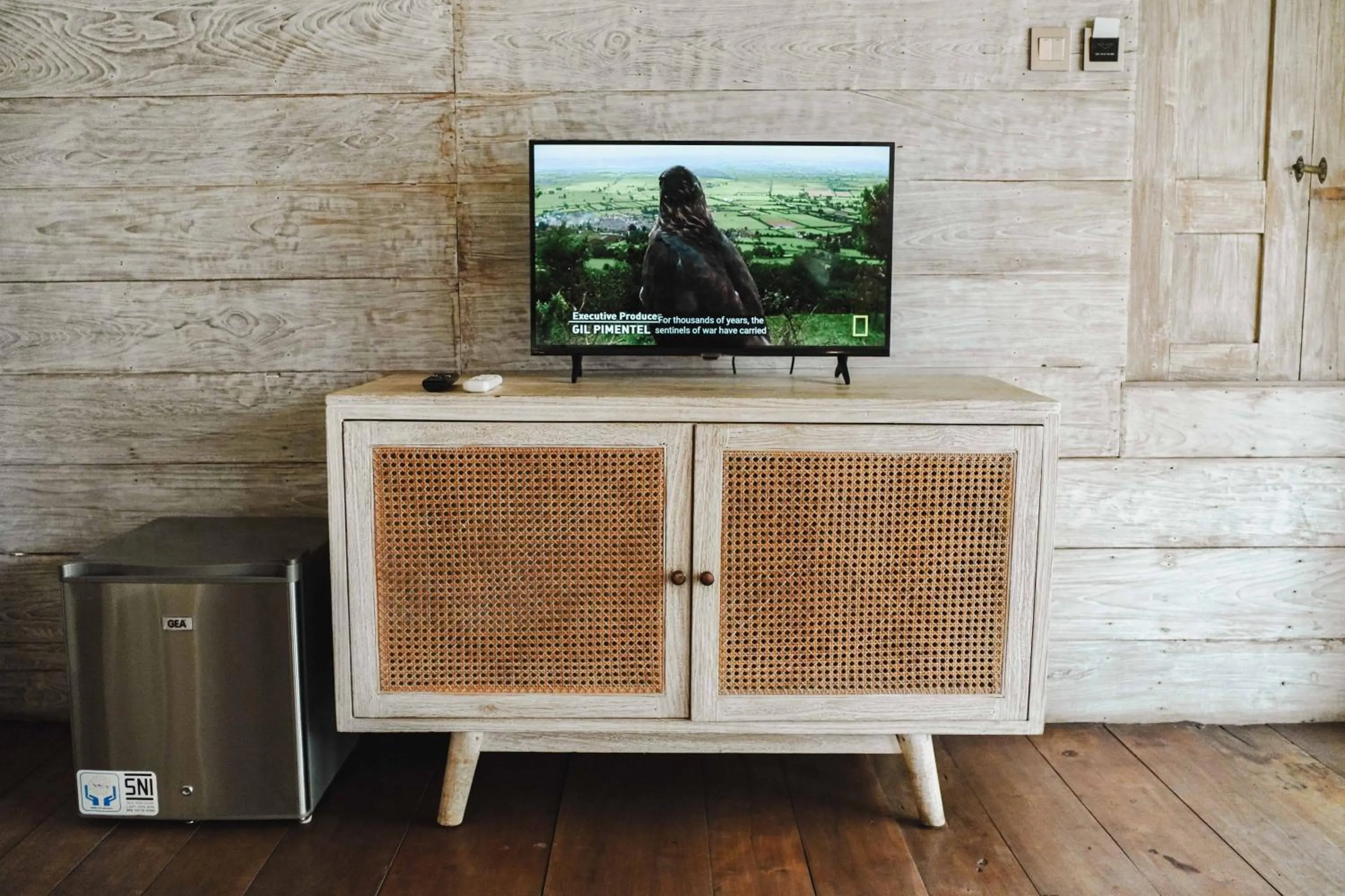 TV and multimedia in Java Wood