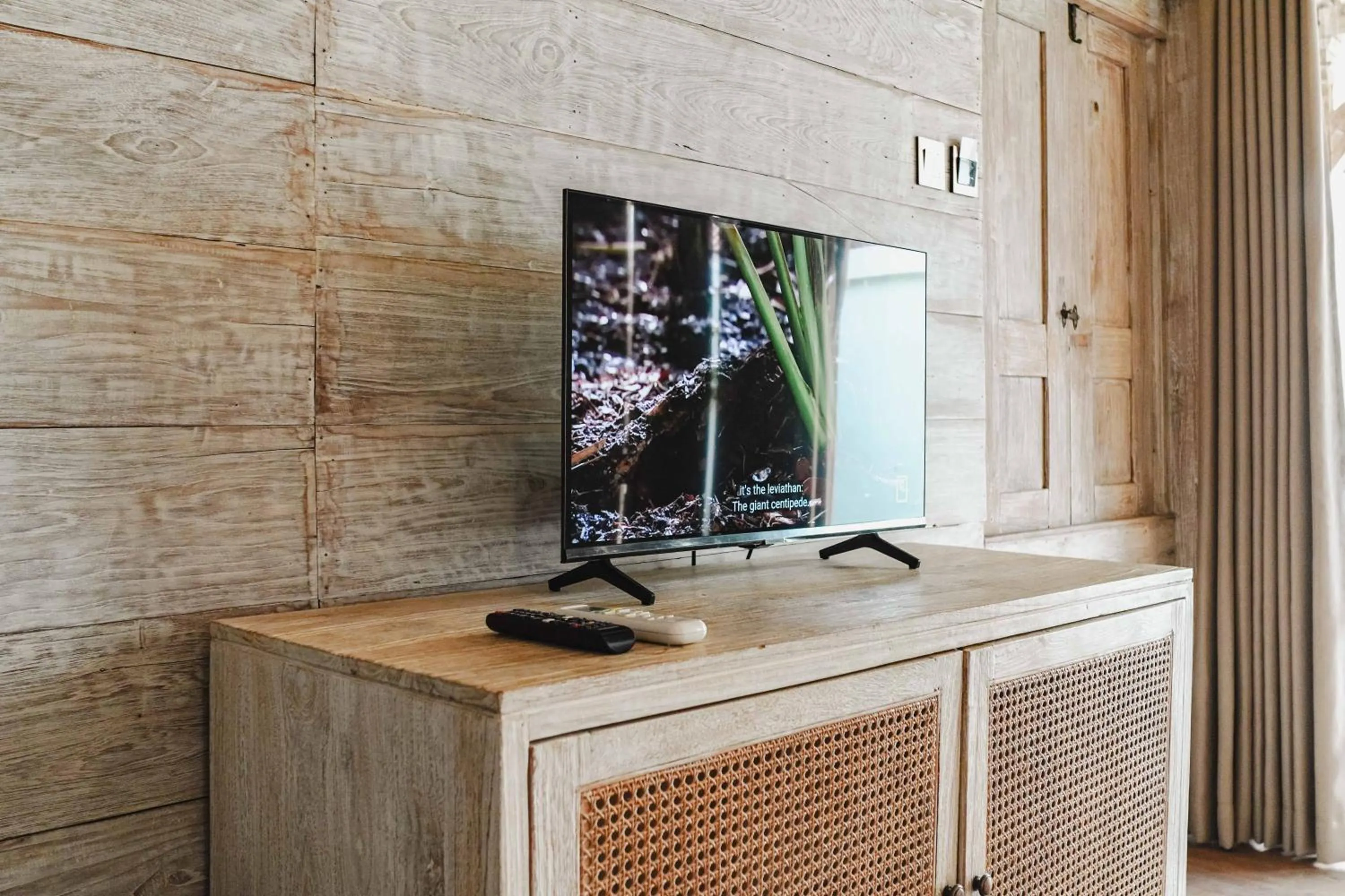 TV and multimedia in Java Wood