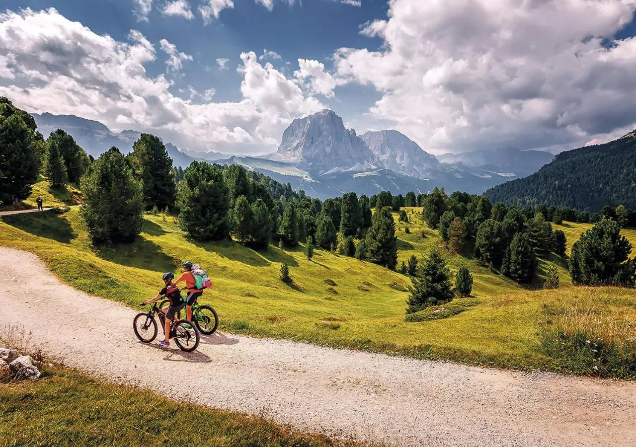 Cycling in Progress Country & Wine House