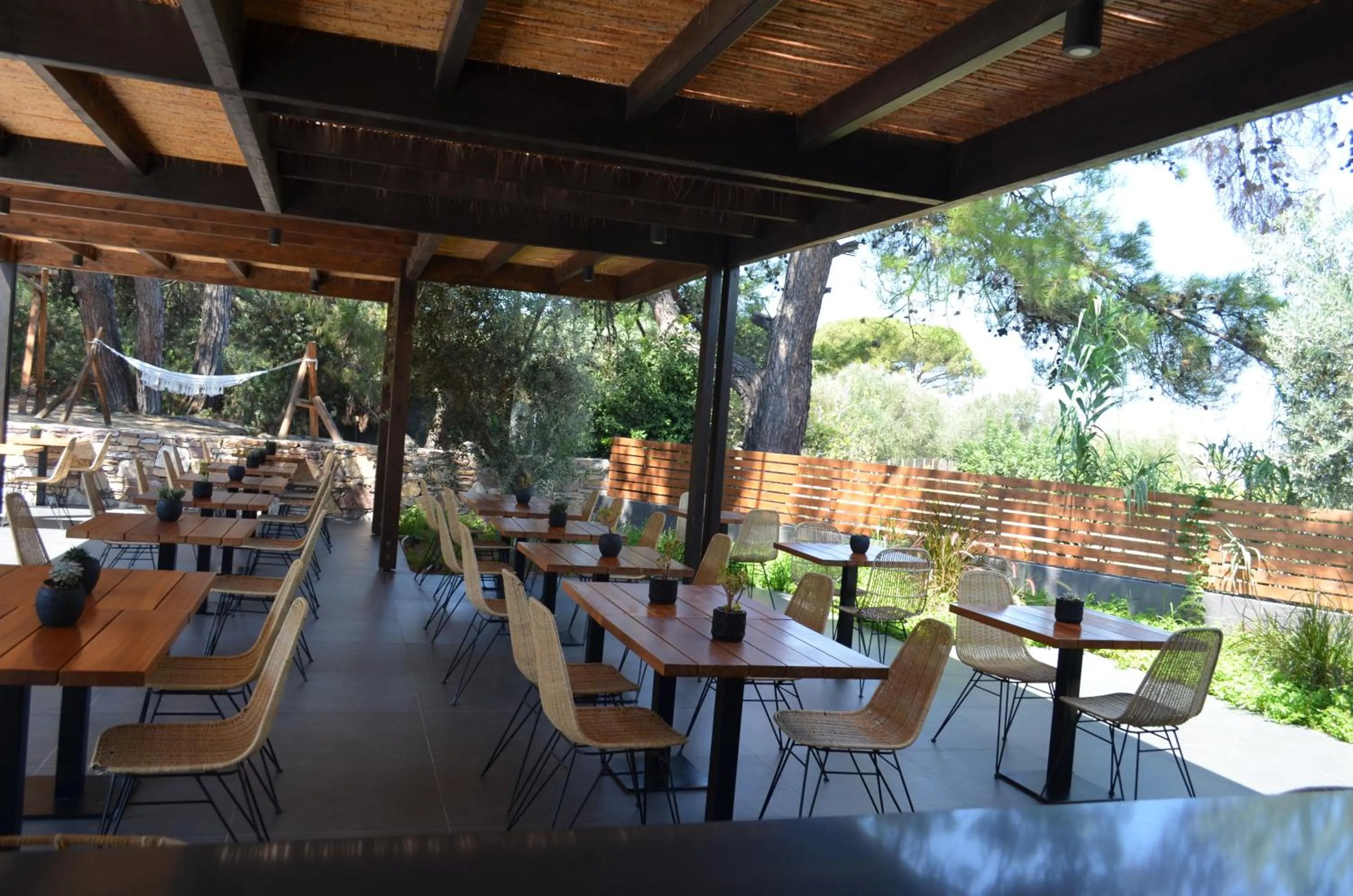 Restaurant/places to eat in Cook's Club Ialysos Rhodes