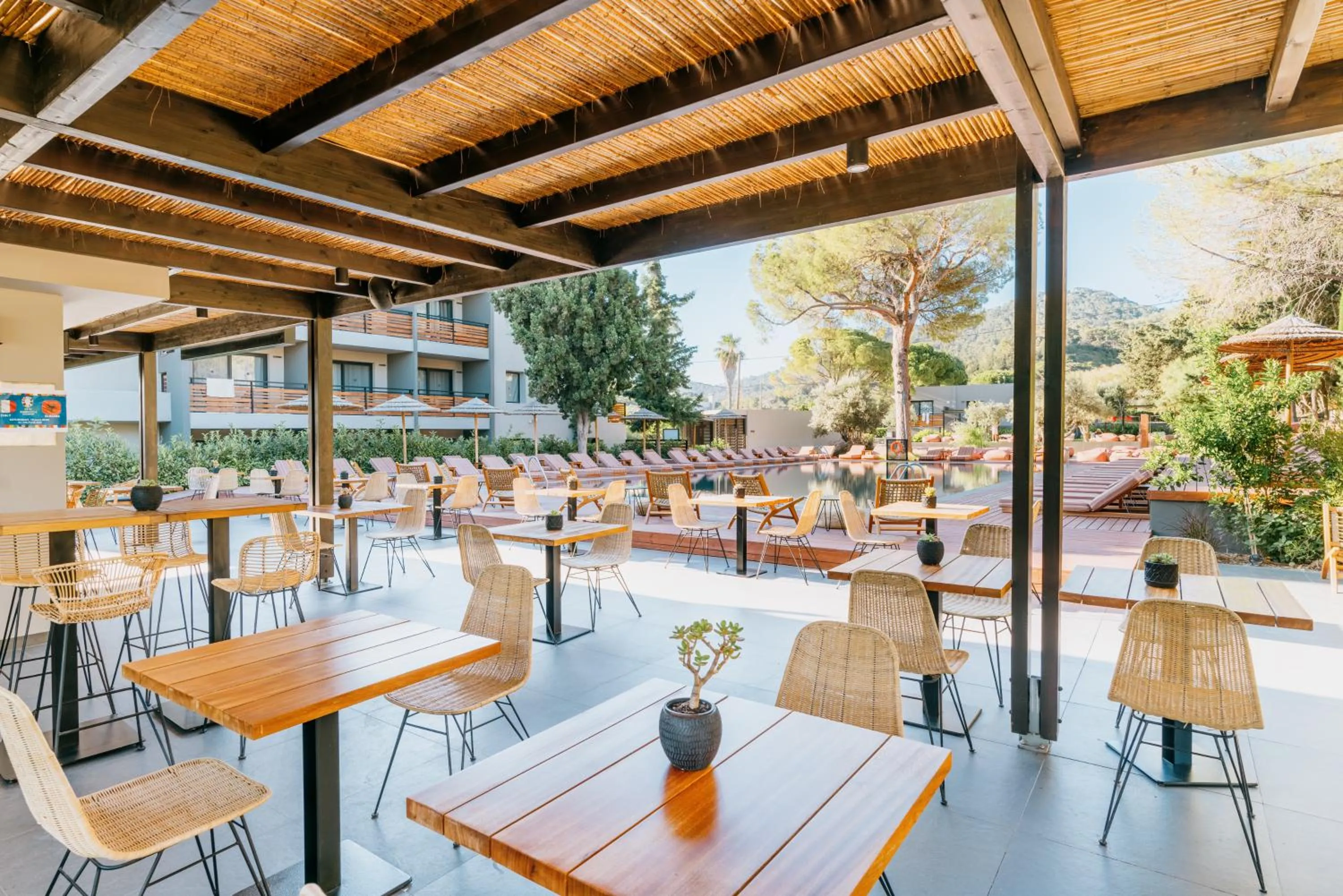 Restaurant/places to eat in Cook's Club Ialysos Rhodes