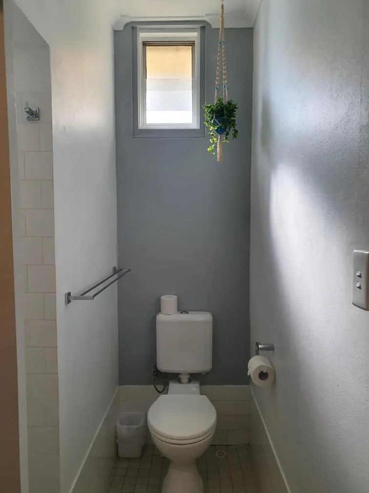 Toilet in Squid's Ink Motel