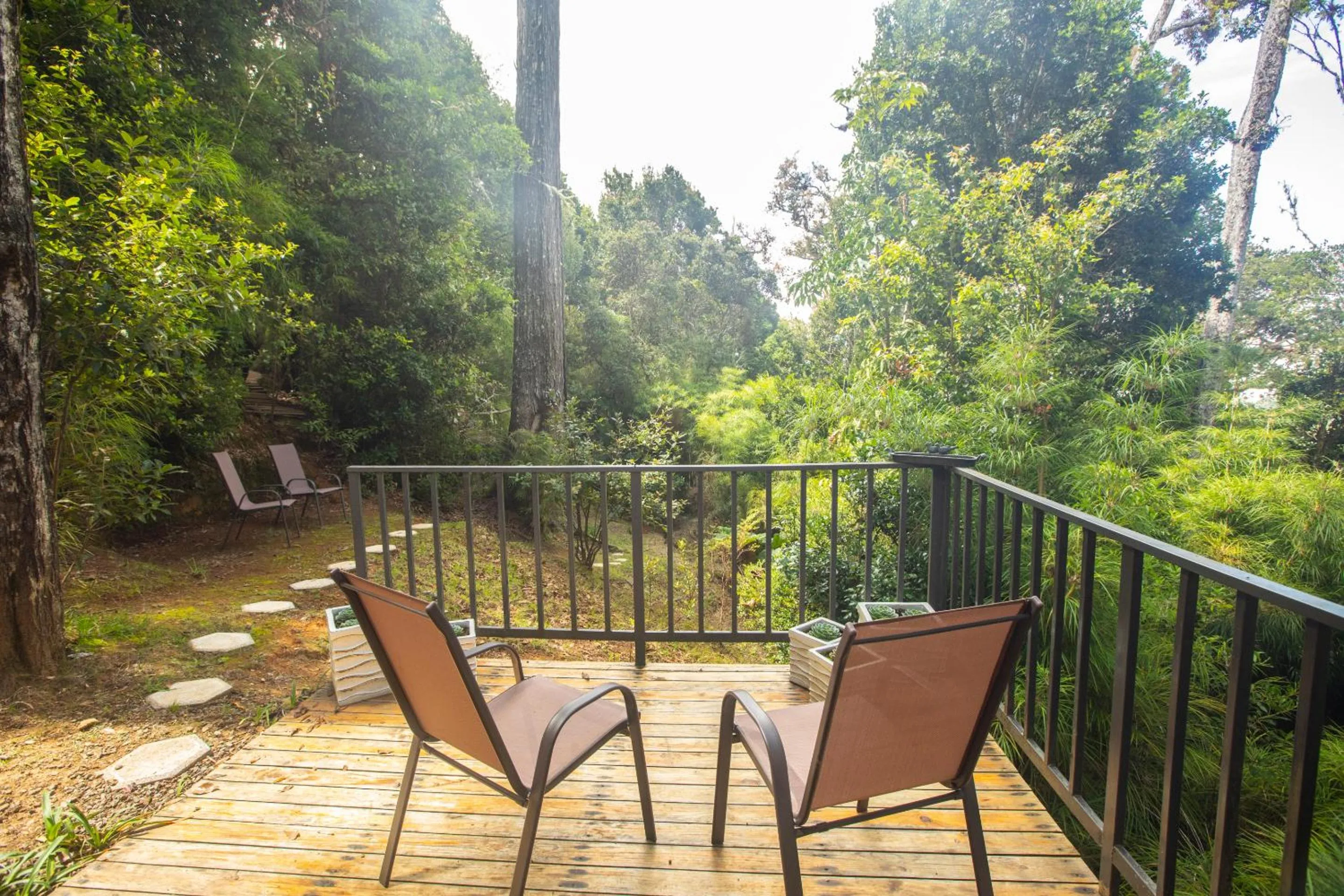 View (from property/room) in Dantica Cloud Forest Lodge