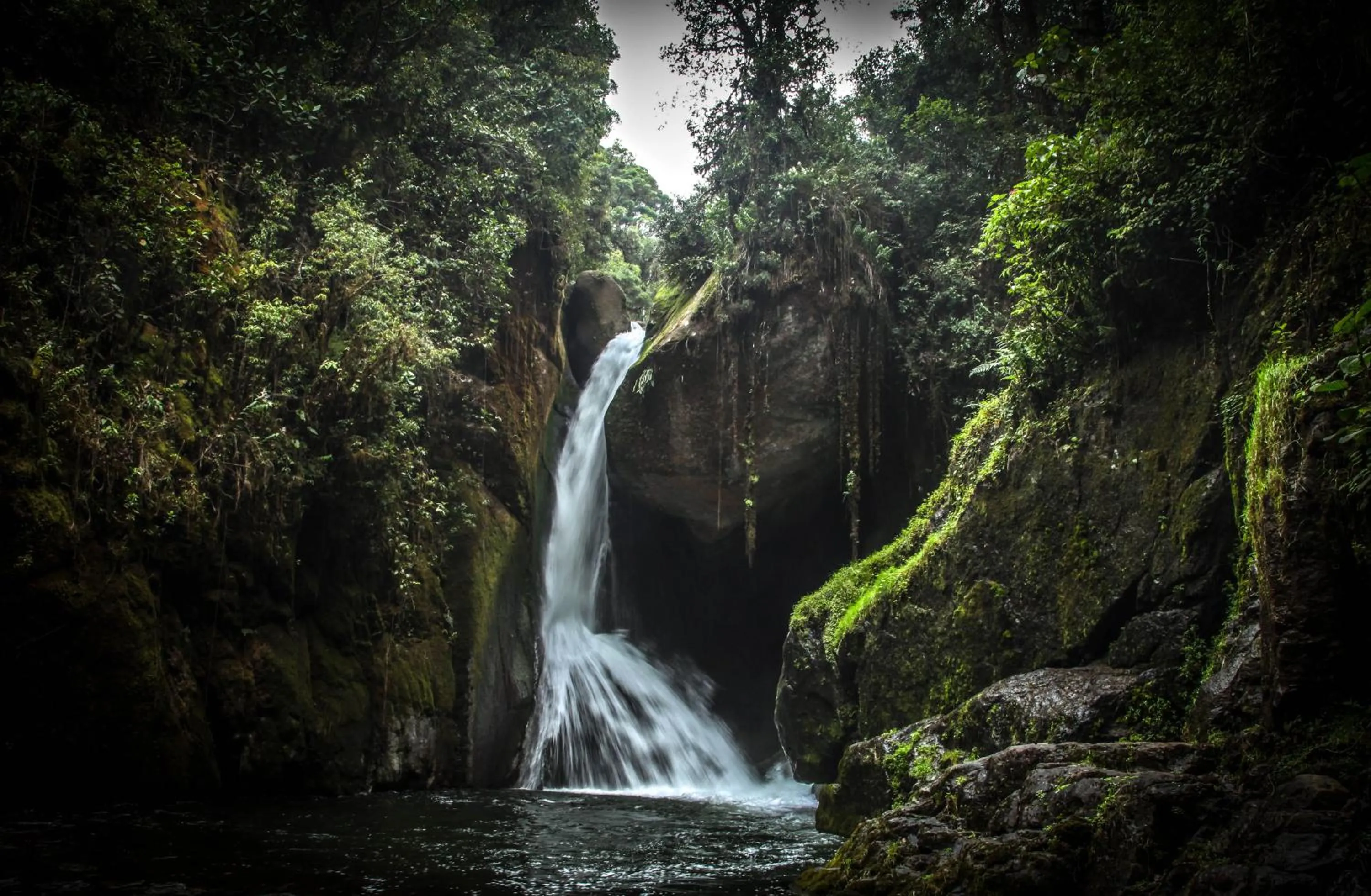 Nearby landmark in Dantica Cloud Forest Lodge
