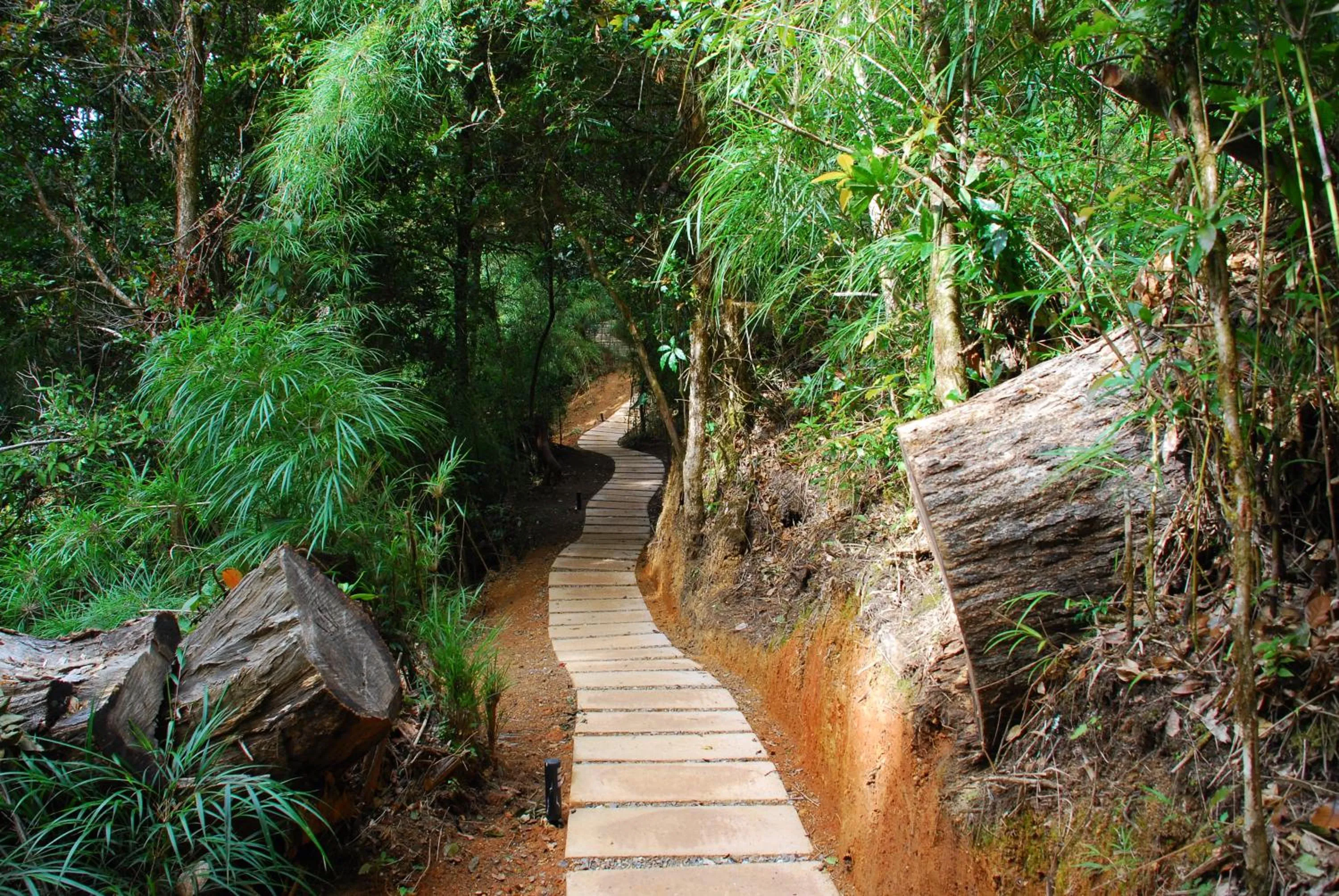 Activities in Dantica Cloud Forest Lodge