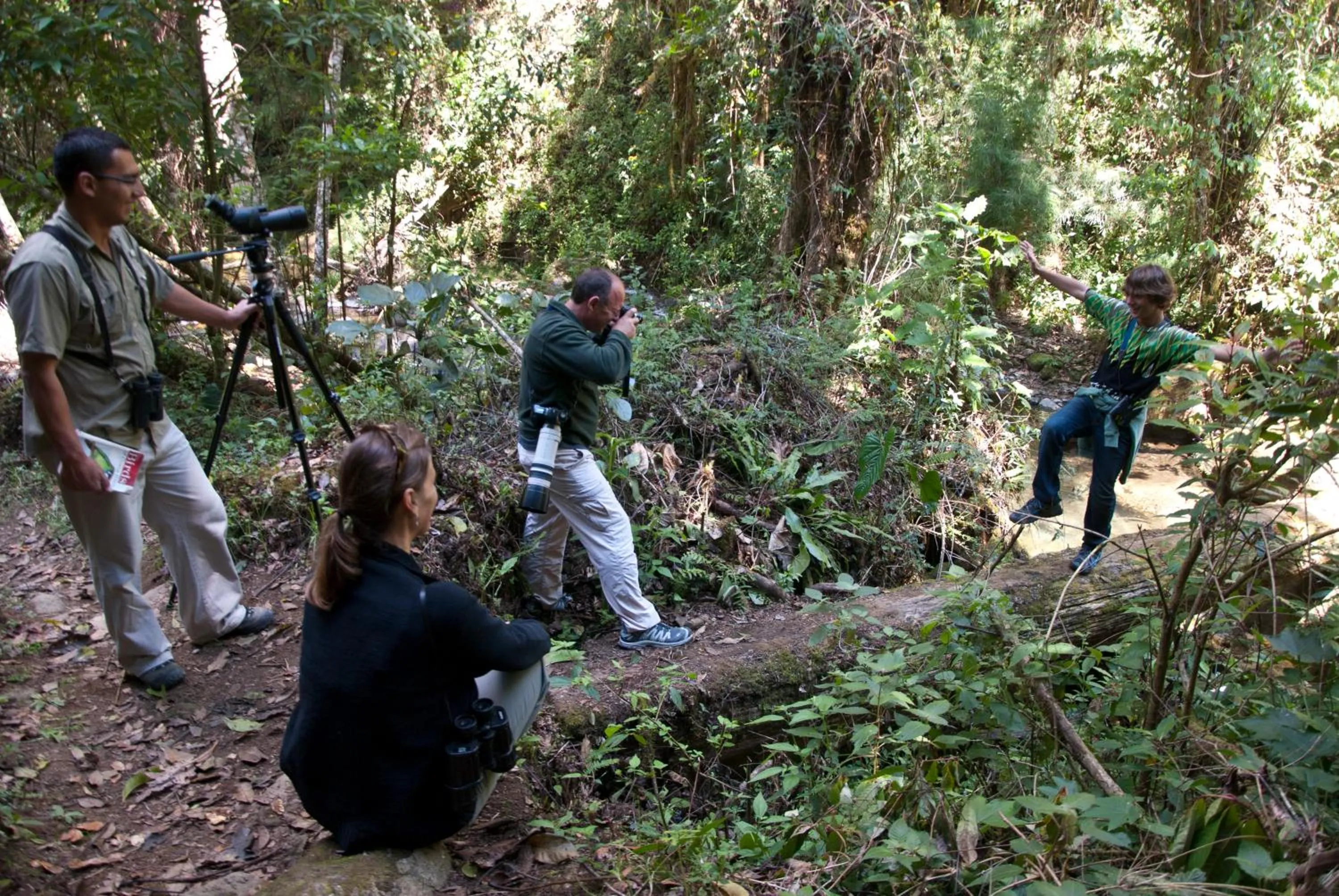 Activities in Dantica Cloud Forest Lodge