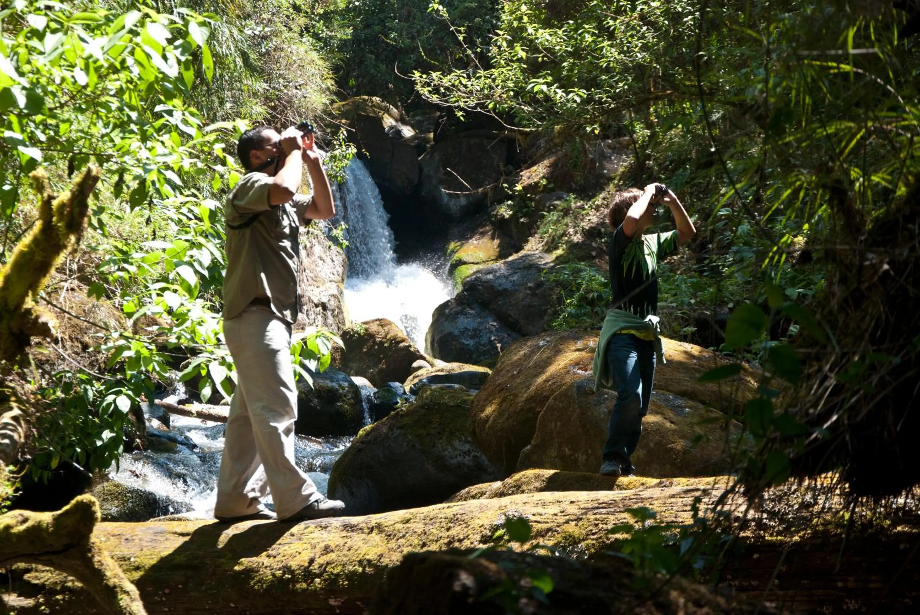 Activities in Dantica Cloud Forest Lodge
