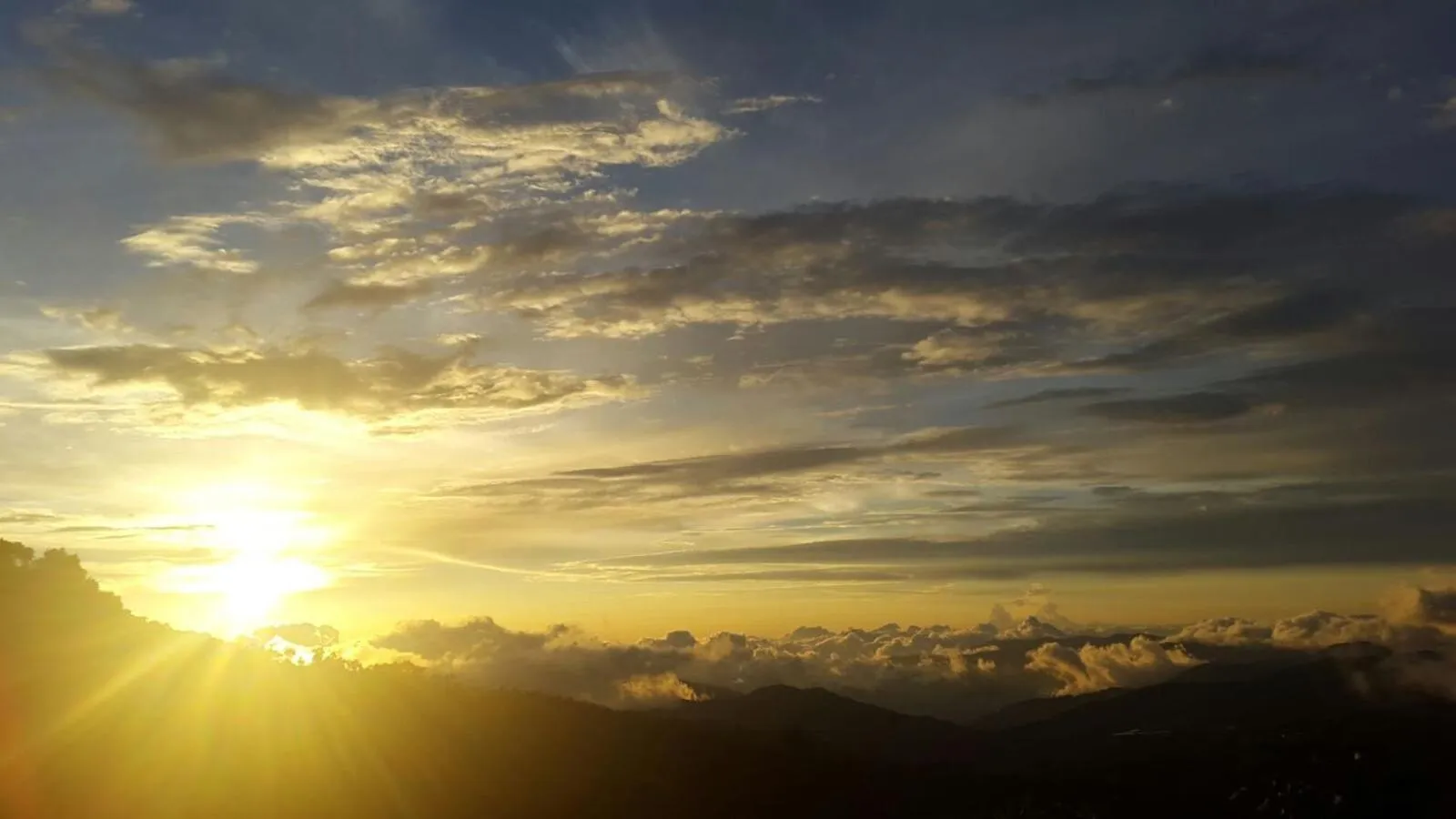 View (from property/room) in Dantica Cloud Forest Lodge