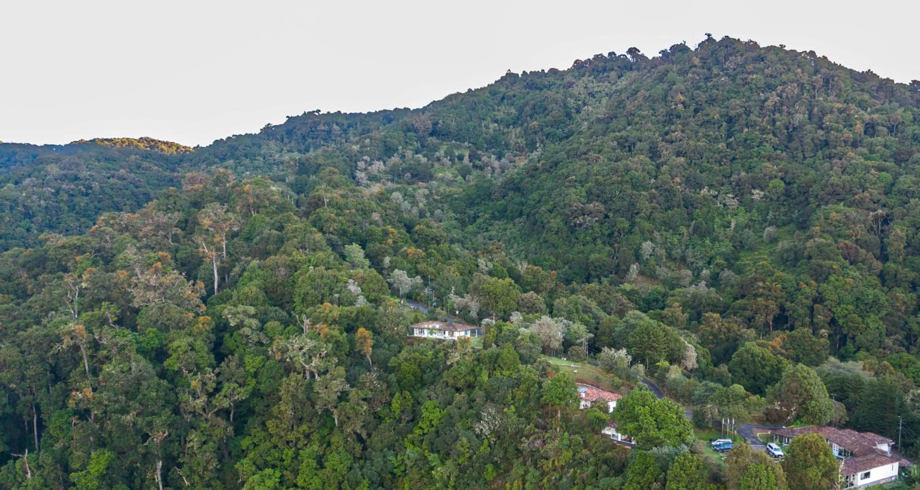 Natural landscape in Dantica Cloud Forest Lodge