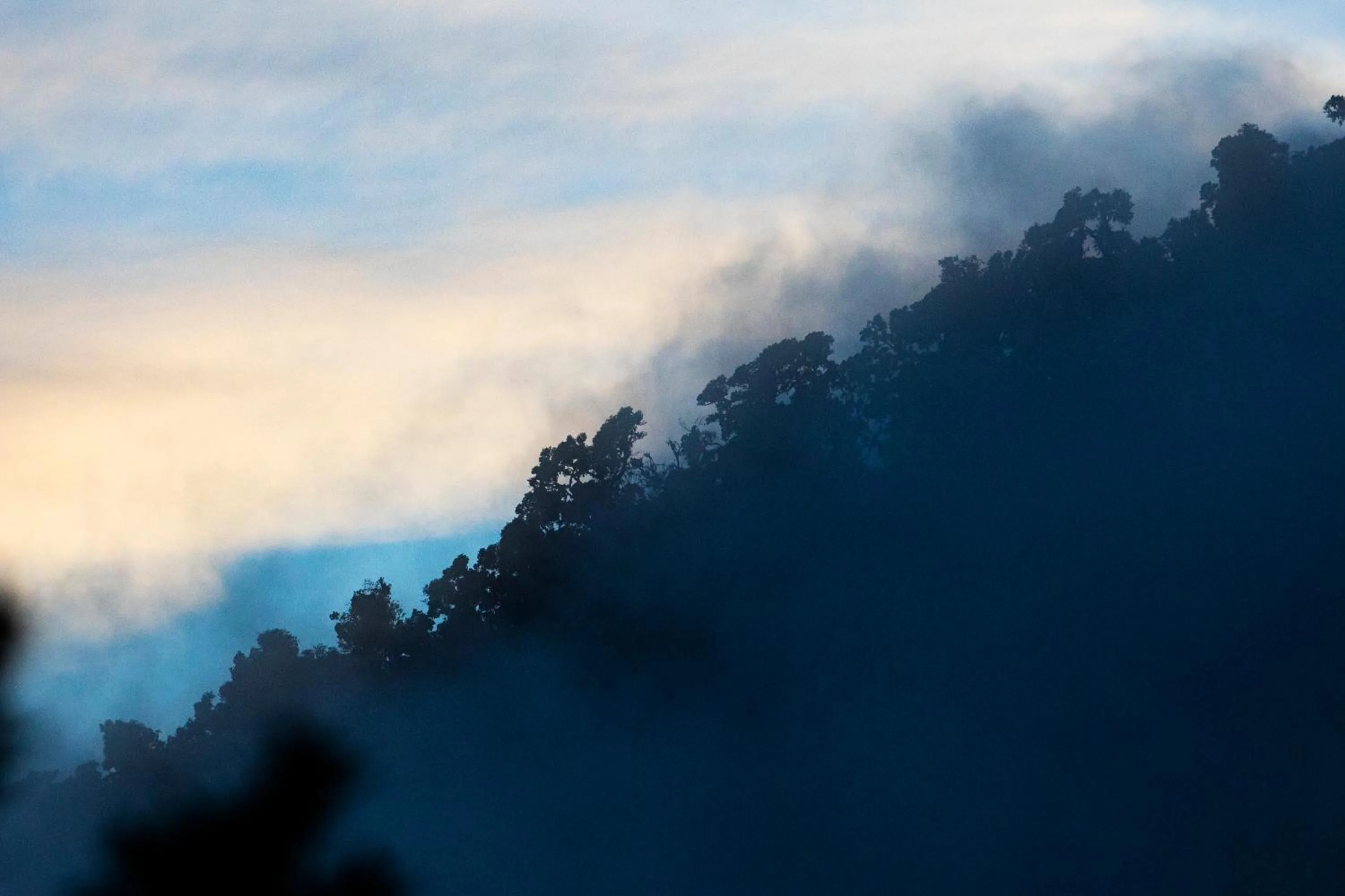 Natural landscape in Dantica Cloud Forest Lodge